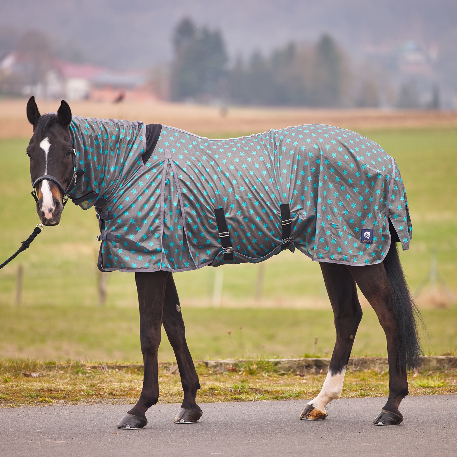 Combo Neck Fly Sheet with Belly Wrap - Grey/Blue Star Print CP2474-G/B/STAR-145