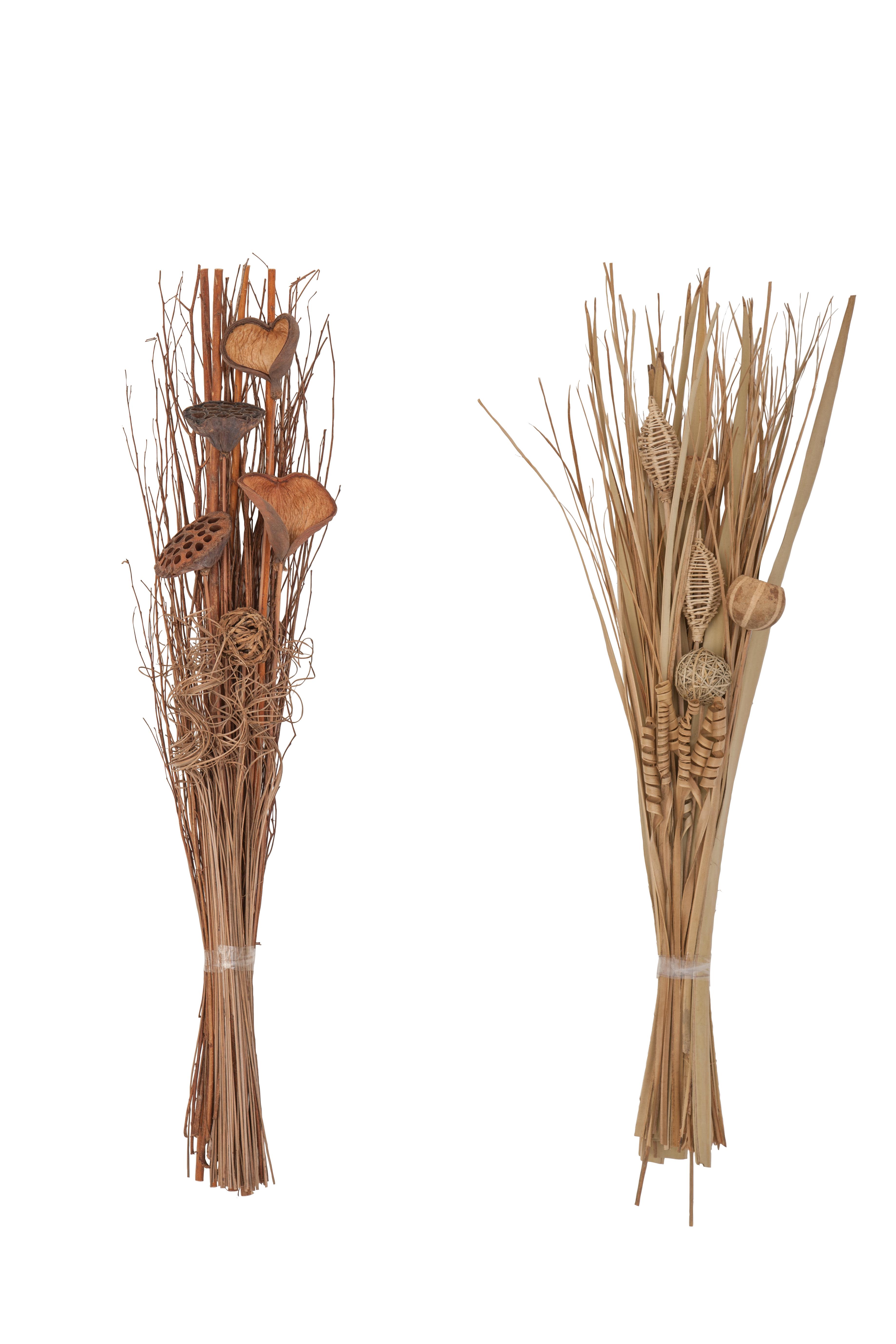 Brown Dried Plant  Natural Foliage, 2Assorted 7"W, 40"H