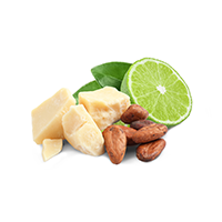 Lime & Cocoa Butter Fragrance