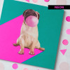 Pug Blank Card - Birthday, Friendship, Thinking of You image