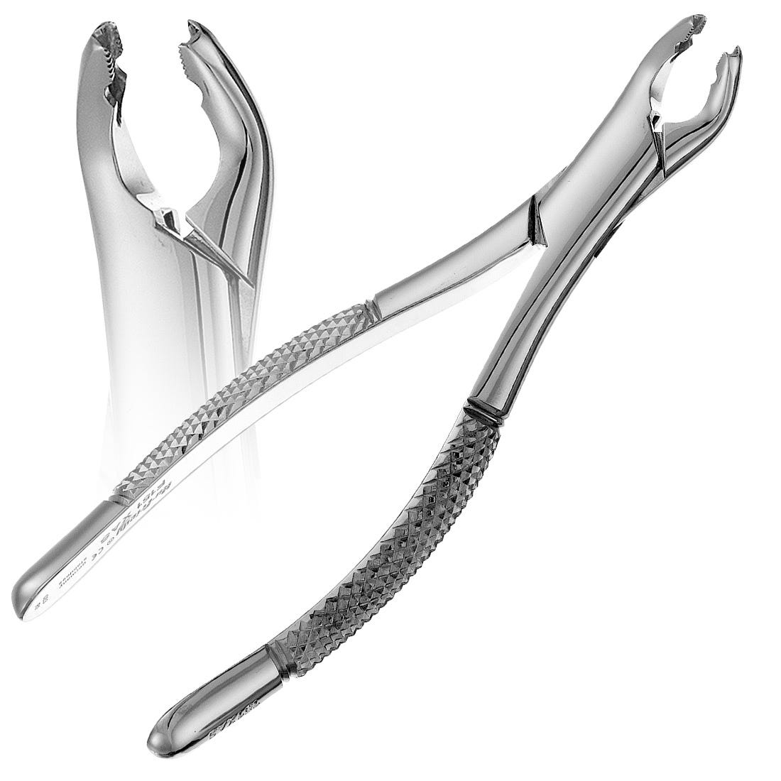 151XAS Split Beak Pedo Forceps, Serrated