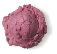 Wildberry Sorbet, 384 fl oz