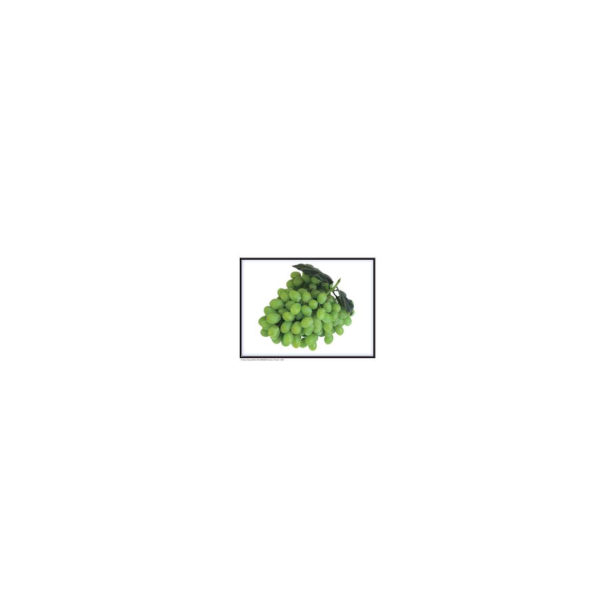 s--m5l7mQ4k--/en8grdbncb9tzaj4lcvd.jpg s--m5l7mQ4k--/en8grdbncb9tzaj4lcvd.jpg