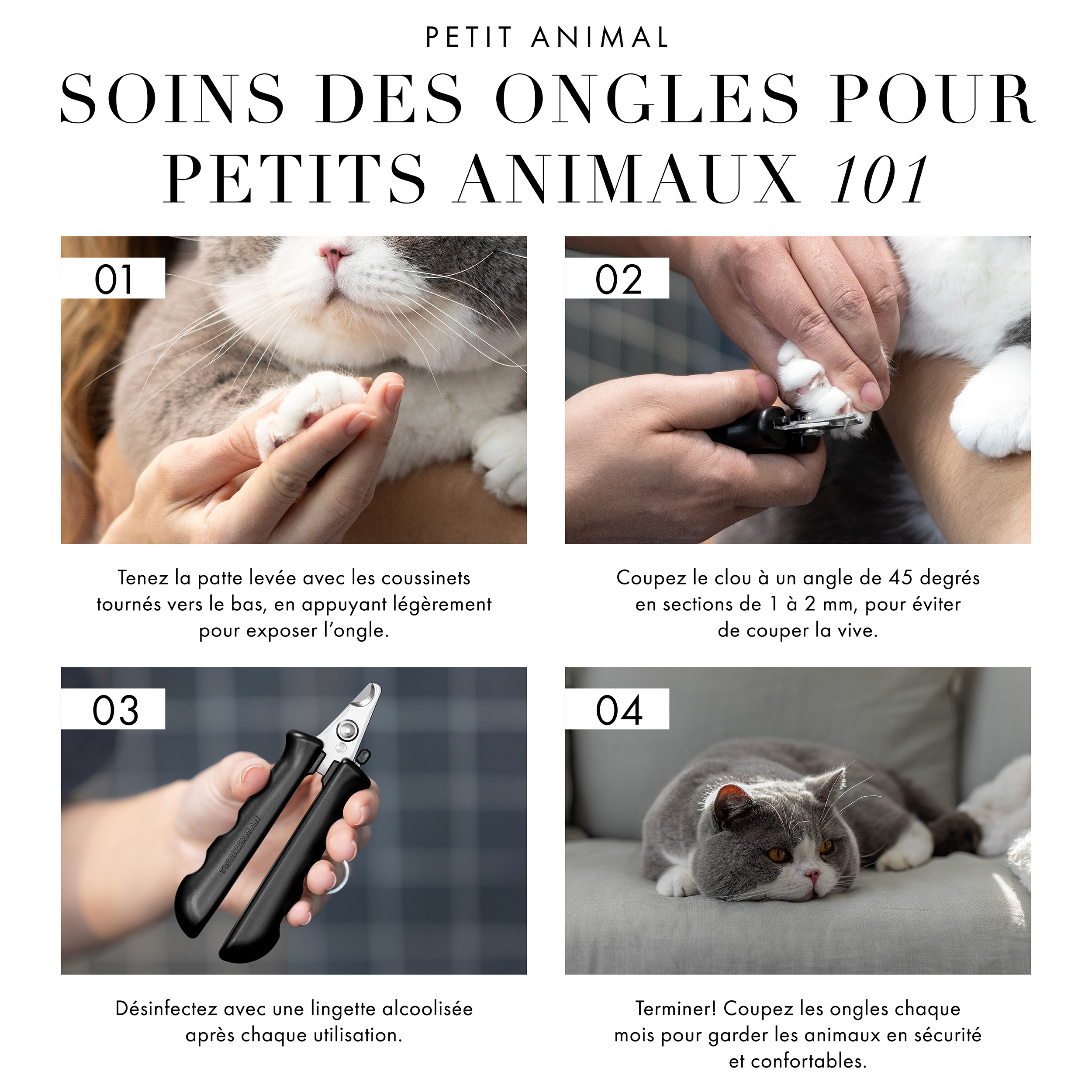 Soins des ongles pour petits animaux 101. 1) Tenir la patte levée avec les coussinets tournés vers le bas, en appuyant légèrement pour exposer l’ongle. 2) Couper le clou à un angle de 45 degrés en sections de 1 à 2 mm, pour éviter de couper la vive. 3) Désinfectez avec une lingette alcoolisée après chaque utilisation. 4) Terminer! Coupez les ongles chaque mois pour garder les animaux en sécurité et confortables.