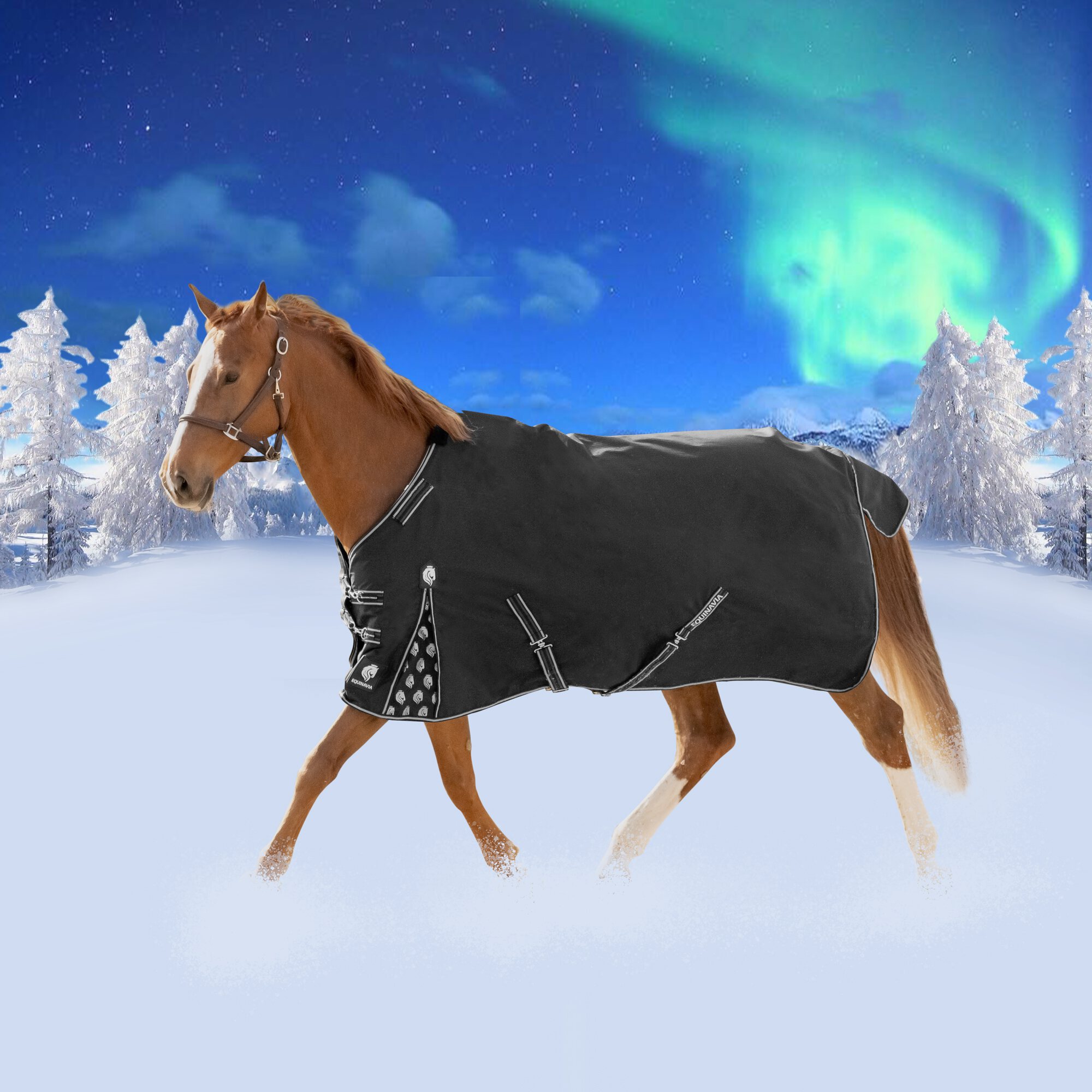 Equinavia Norse Light Weight Turnout Blanket 100g