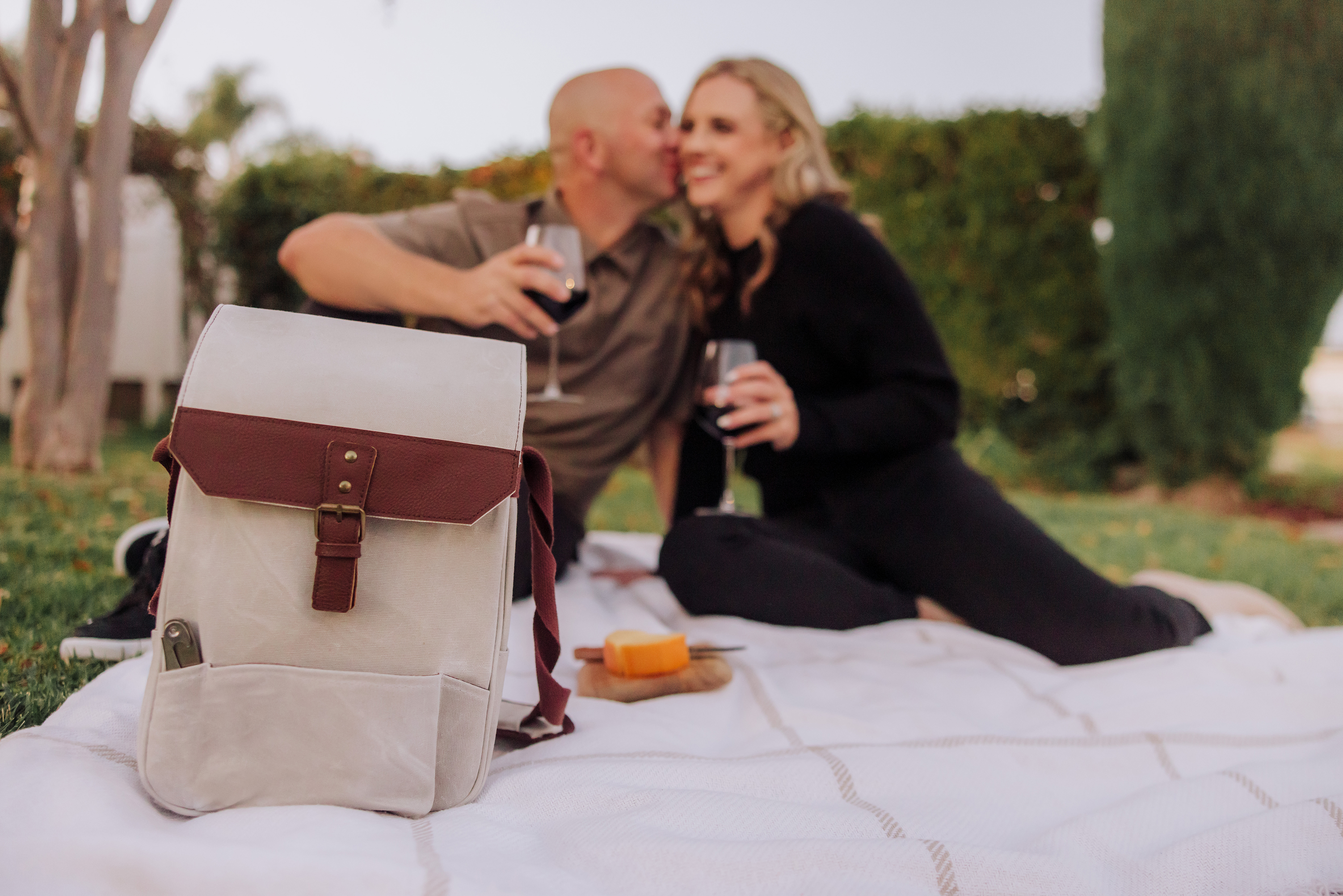 2 Bottle Insulated Wine & Cheese Cooler Tote