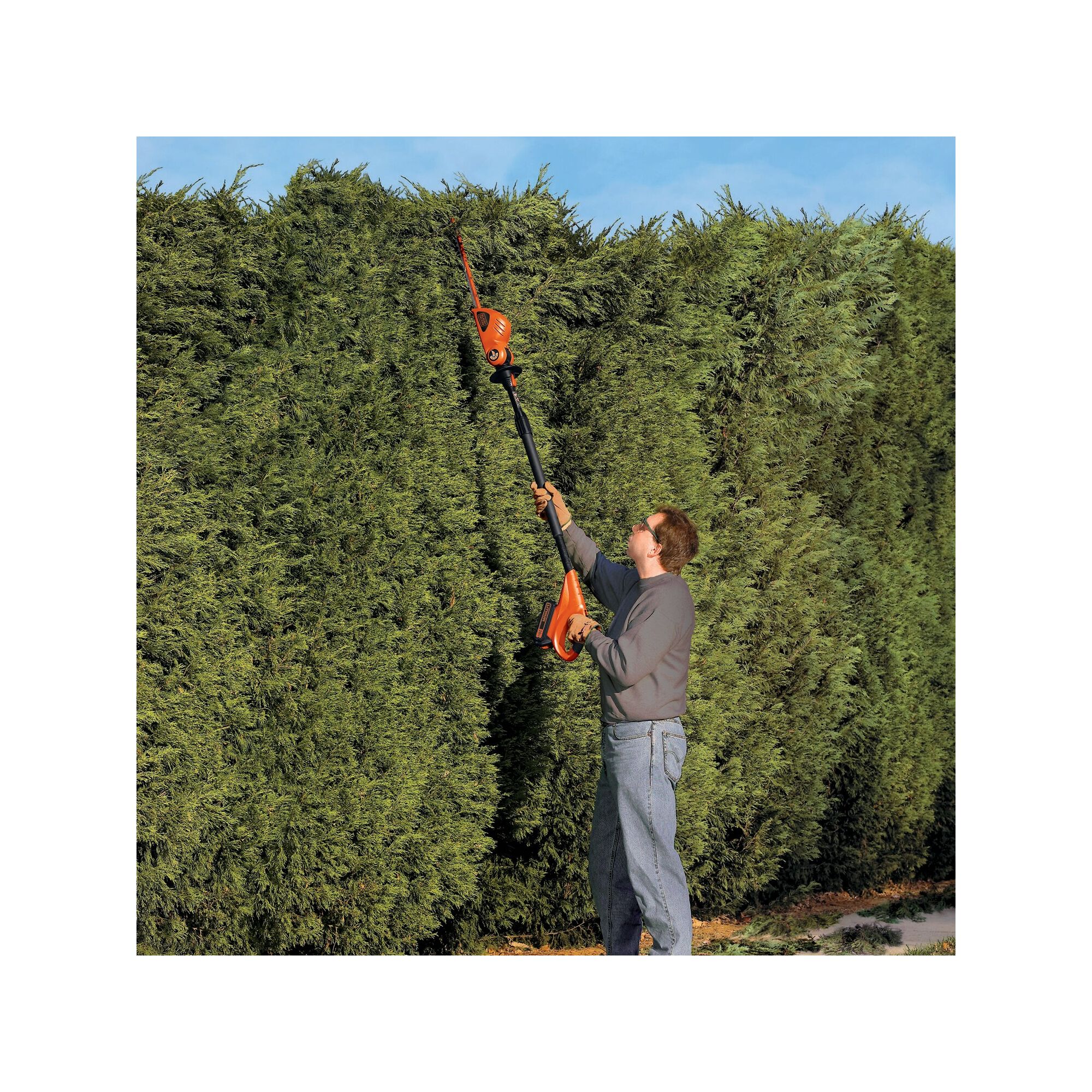 Man using a 20 Volt Max lithium pole hedge trimmer on a tall bush.