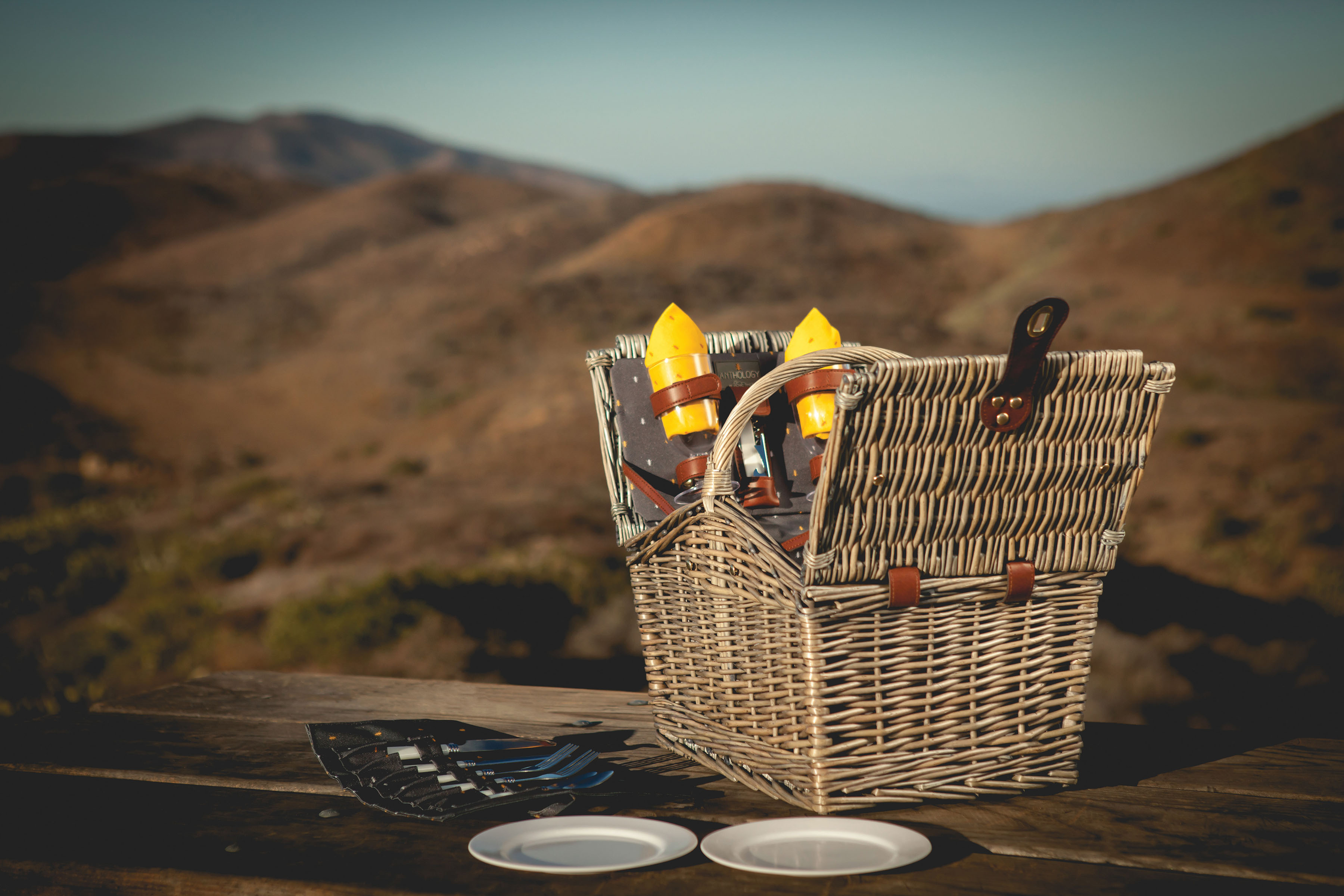 Piccadilly Picnic Basket