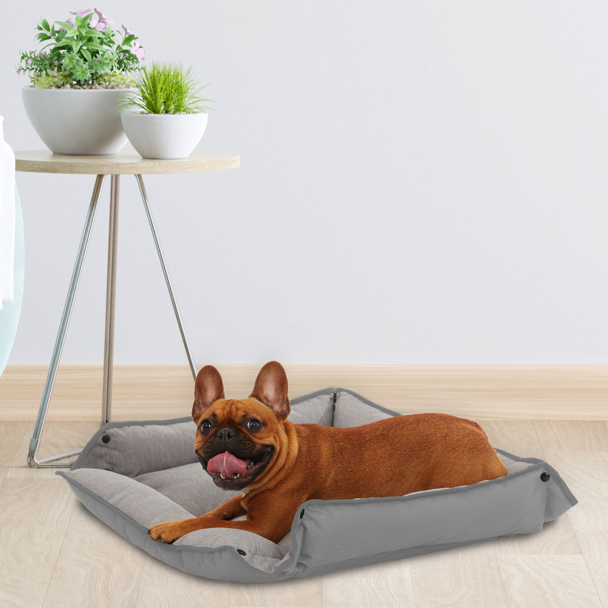 French bulldog lying in the BLACK+DECKER four sided plush pet bed