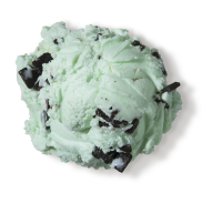 Premium Mint Chocolate Chip Ice Cream, 384 fl oz