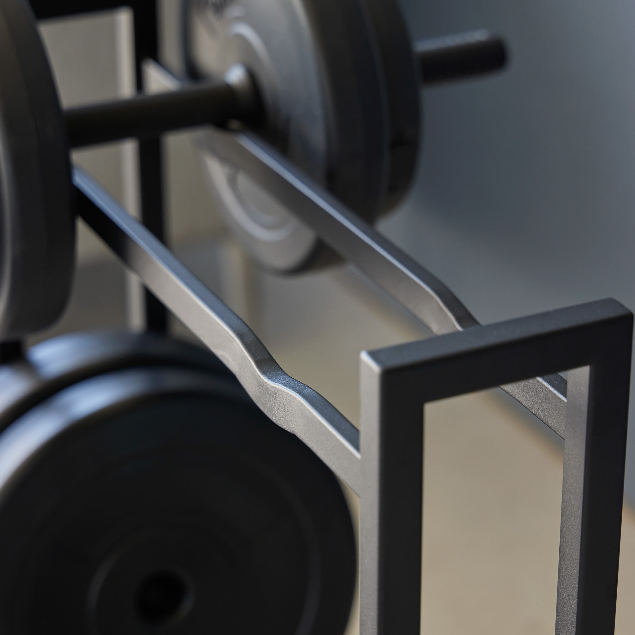Dumbbell Rack : Intelligent Detail
