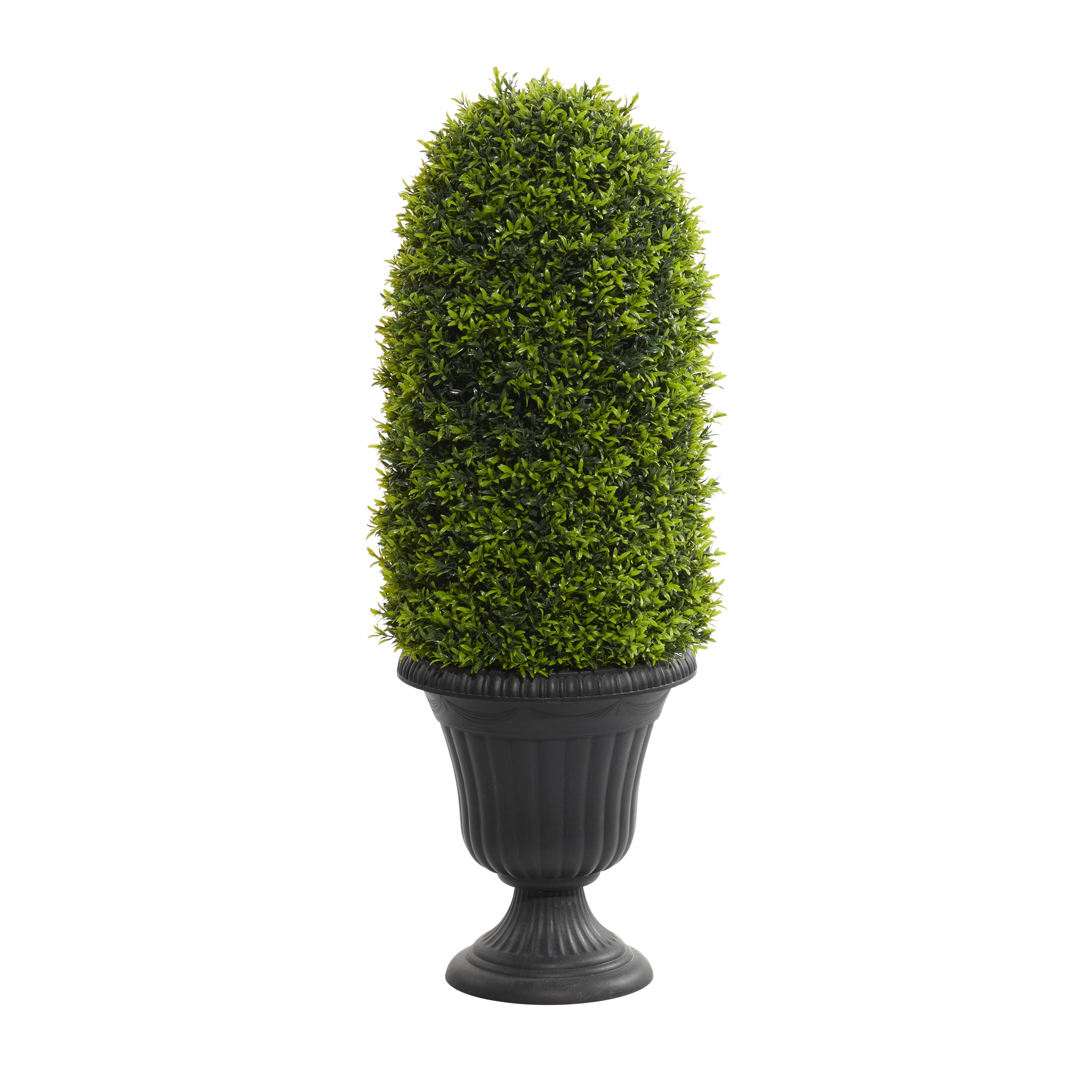 Black Plastic Common Box Plant Topiary, 13" x 13" x 35"