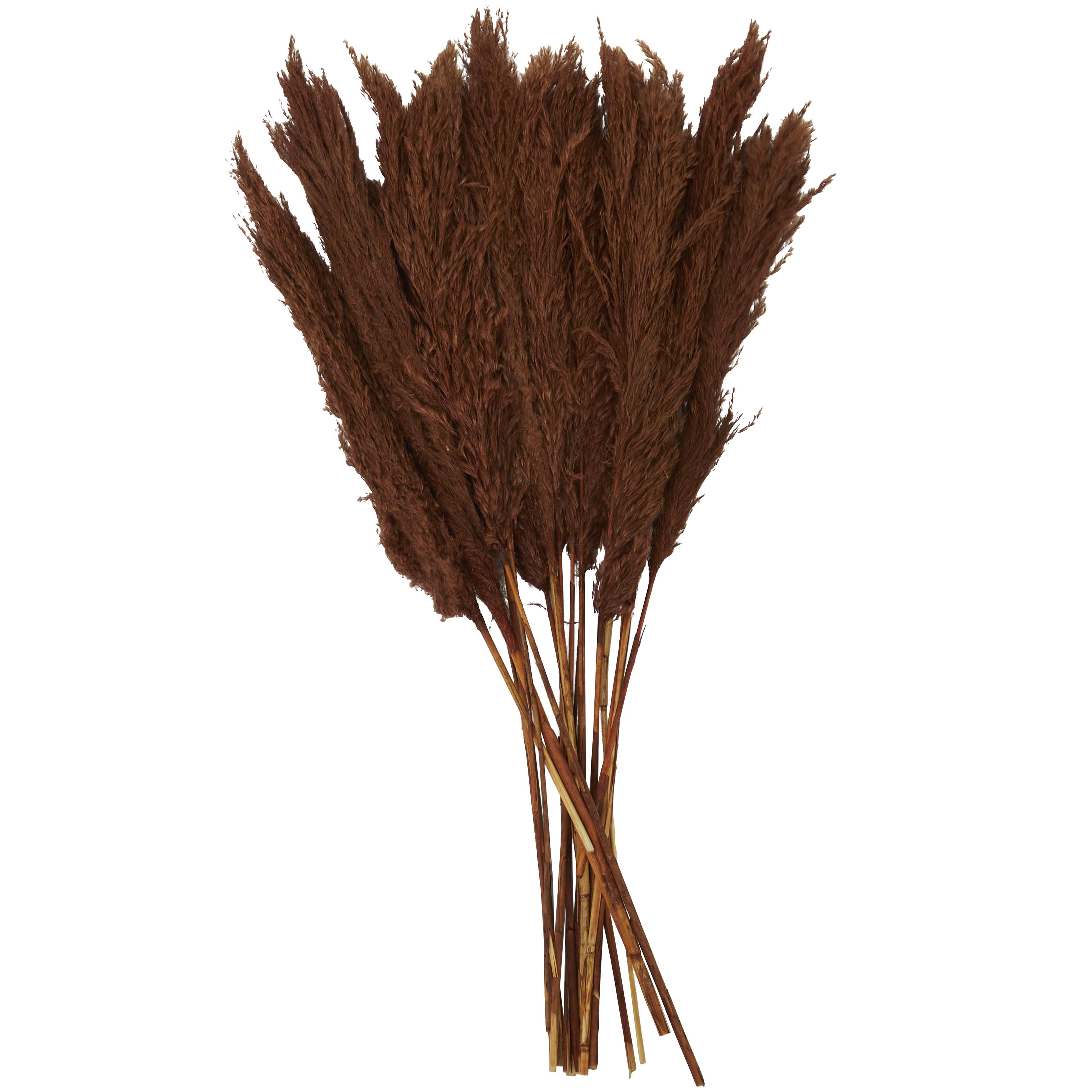 Copper Dried Plant Pampas Grass Home Decor Natural Foliage with Long Stems, 2" x 1" x 35"