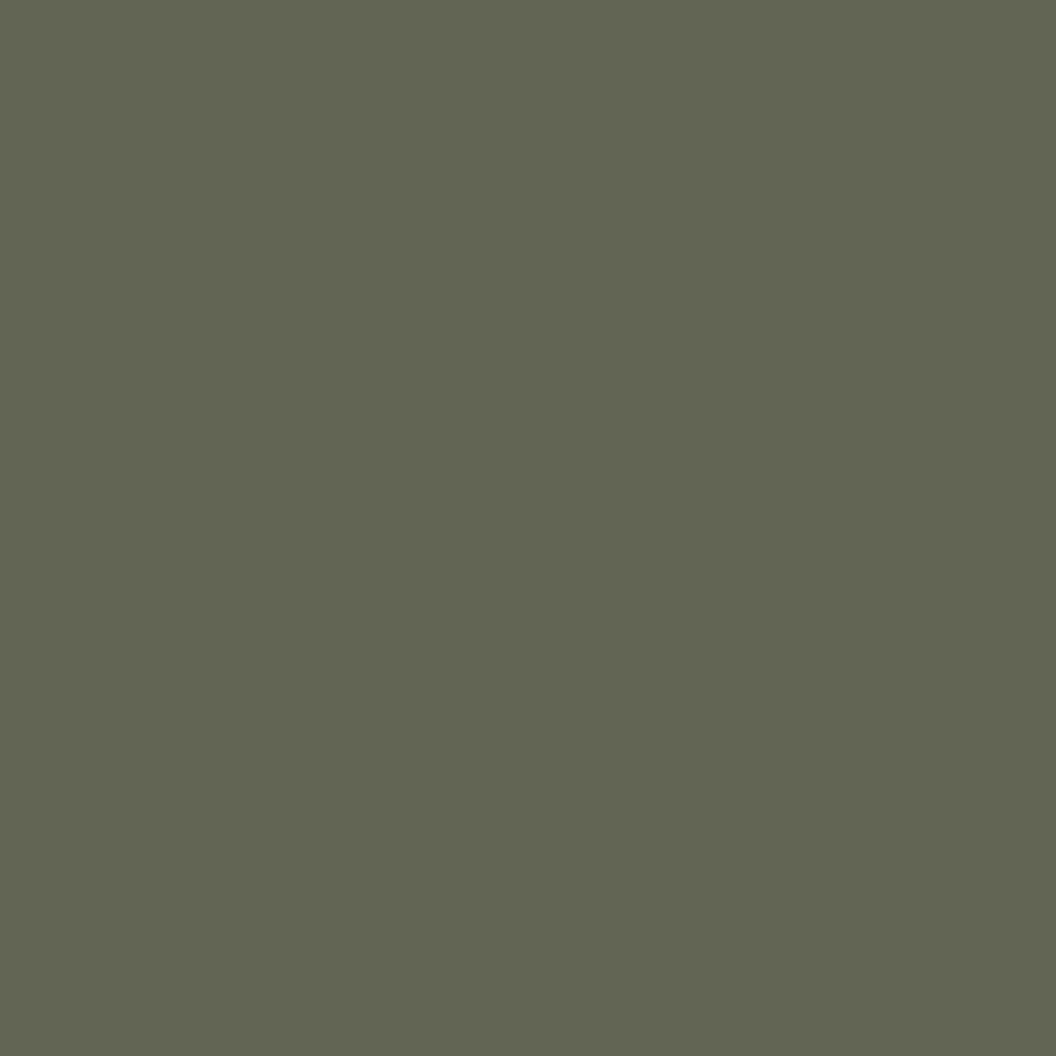 OLIVE MOSS(OLIV)
