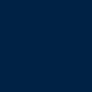 navy(BNP)