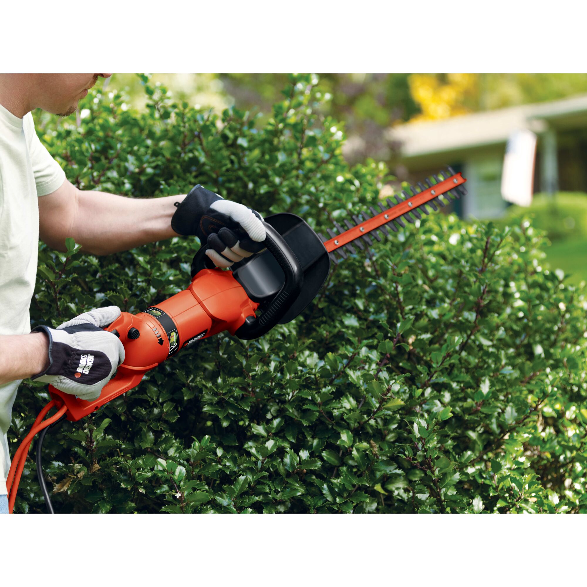 Hedge trimmer with rotating handle trimming bushes.