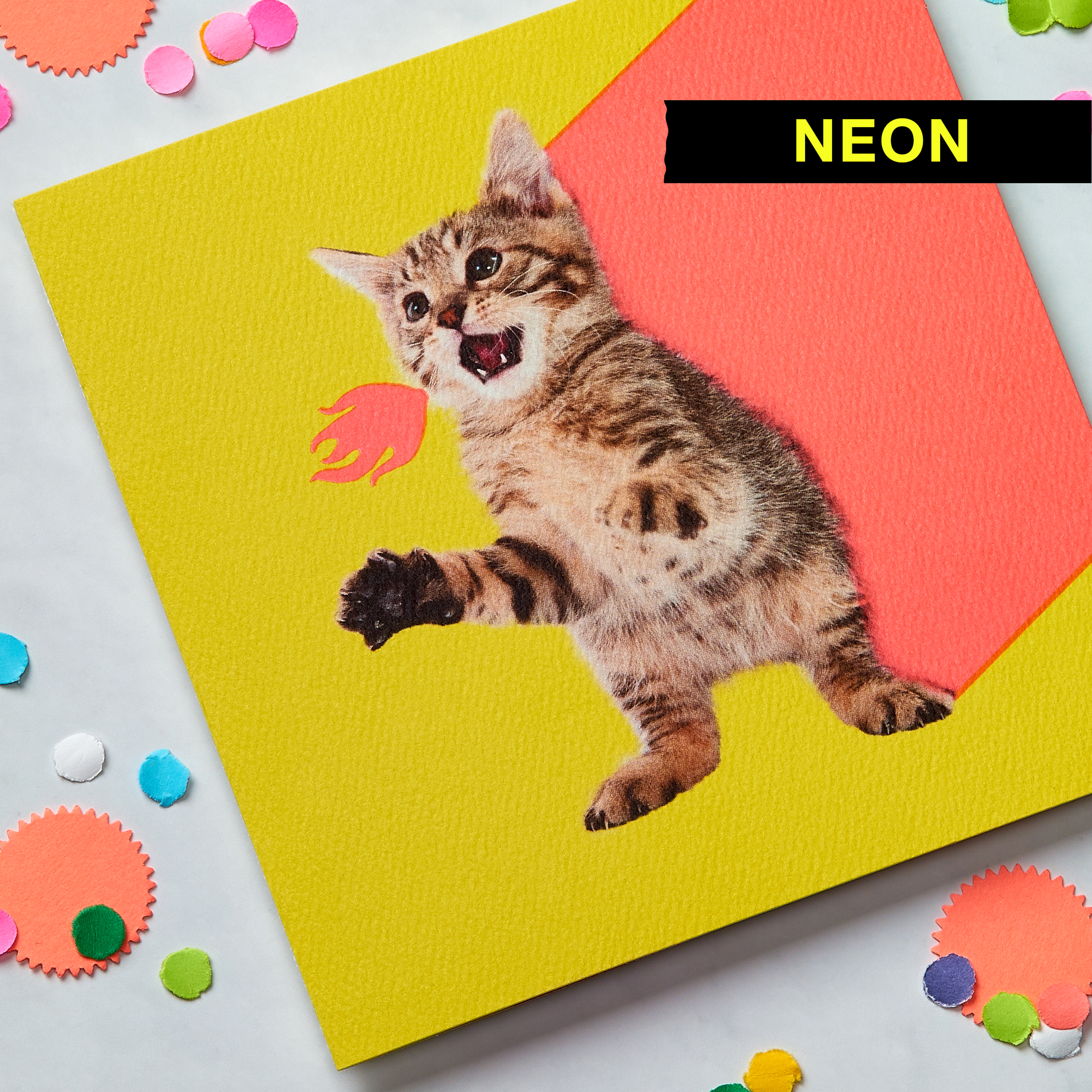 Kitten Blank Card - Birthday, Friendship, Thinking of You image