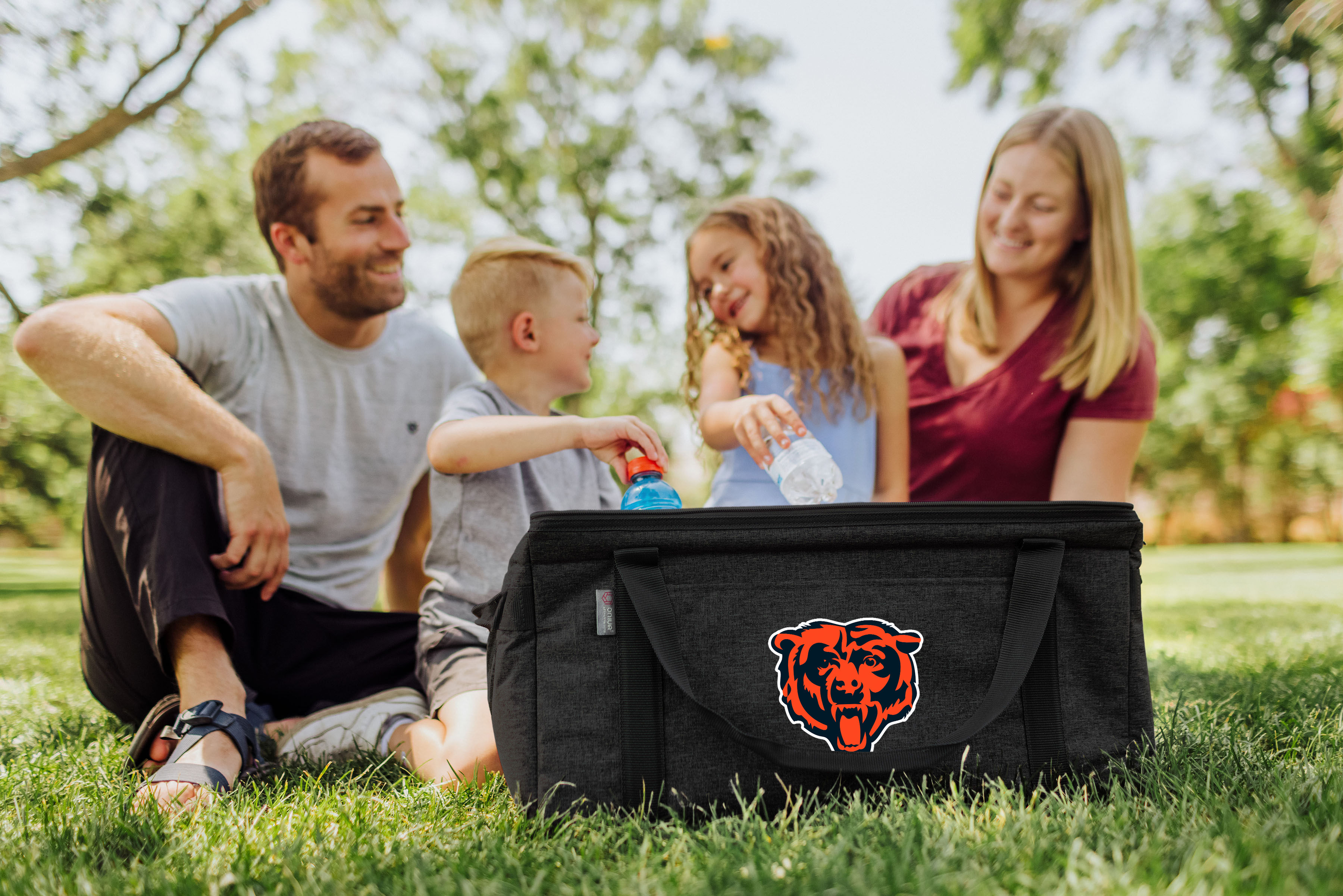Chicago Bears - 64 Can Collapsible Cooler