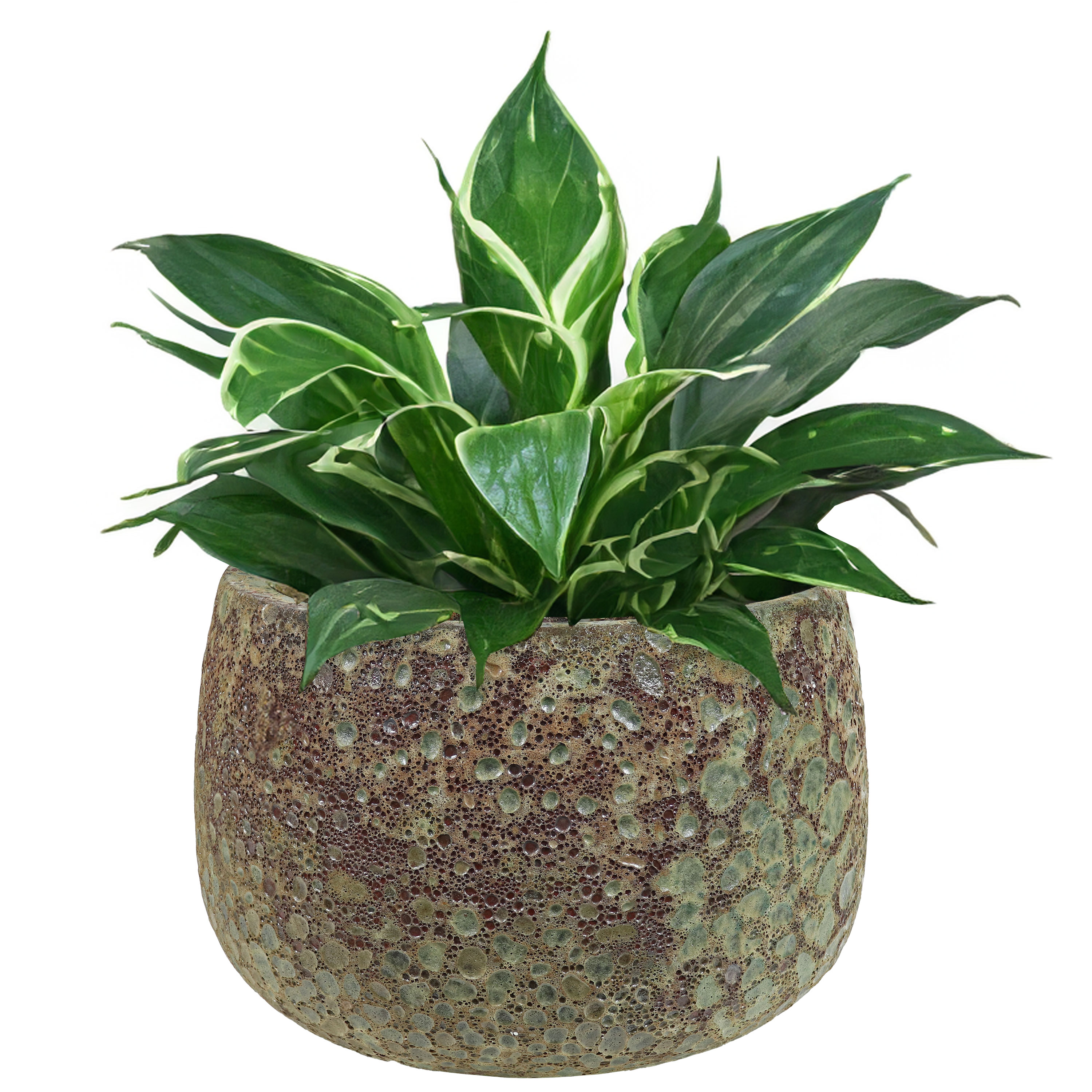 14 in (35.6 cm) Round Lava Finish Ceramic Planter - Green Distressed Ceramic