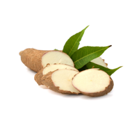 Yucca Extract