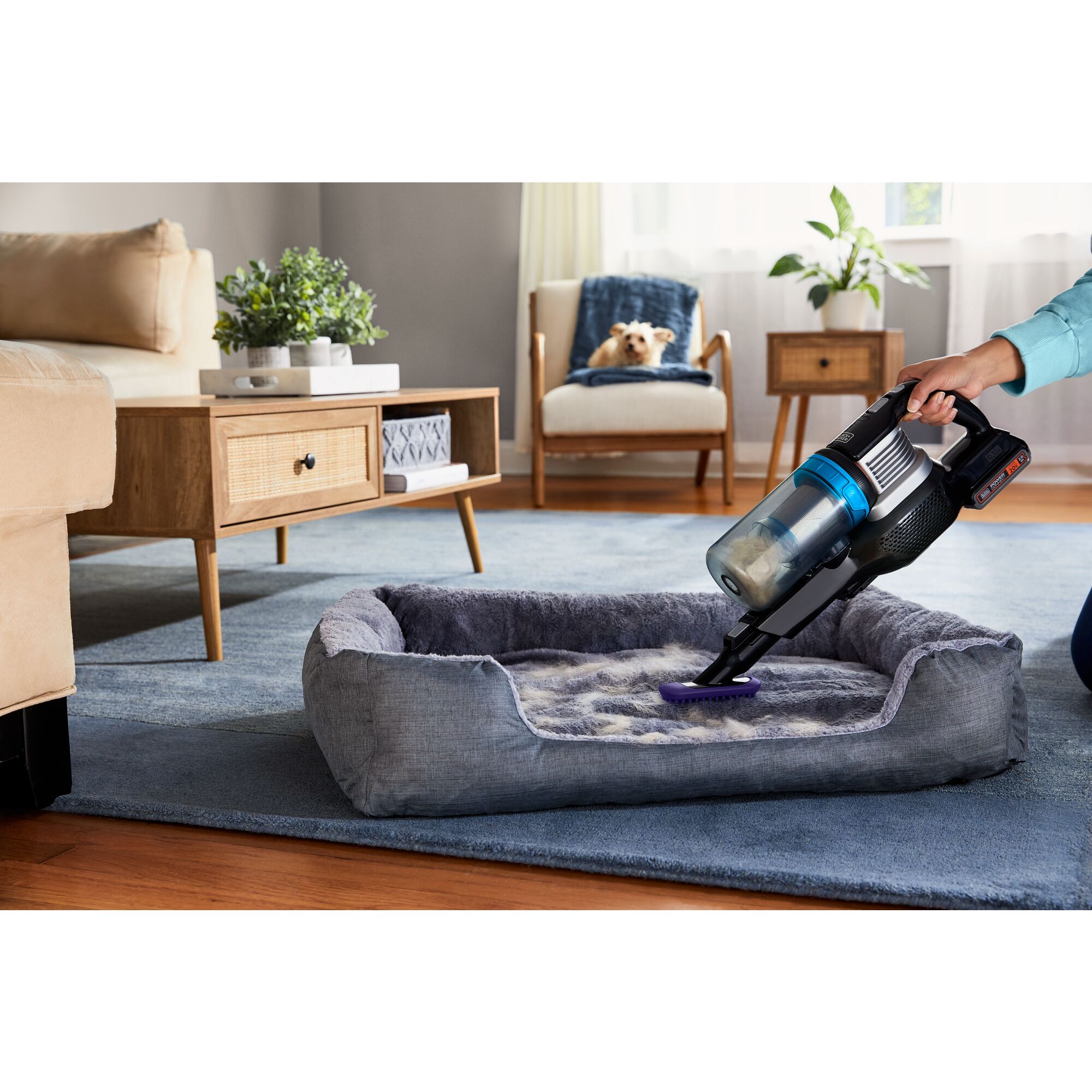 Woman vacuuming hair out of a dog bed with the pet attachment for the POWERSERIES Extreme MAX stick vac