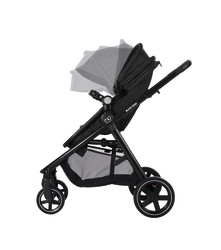 Full canopy coverage
