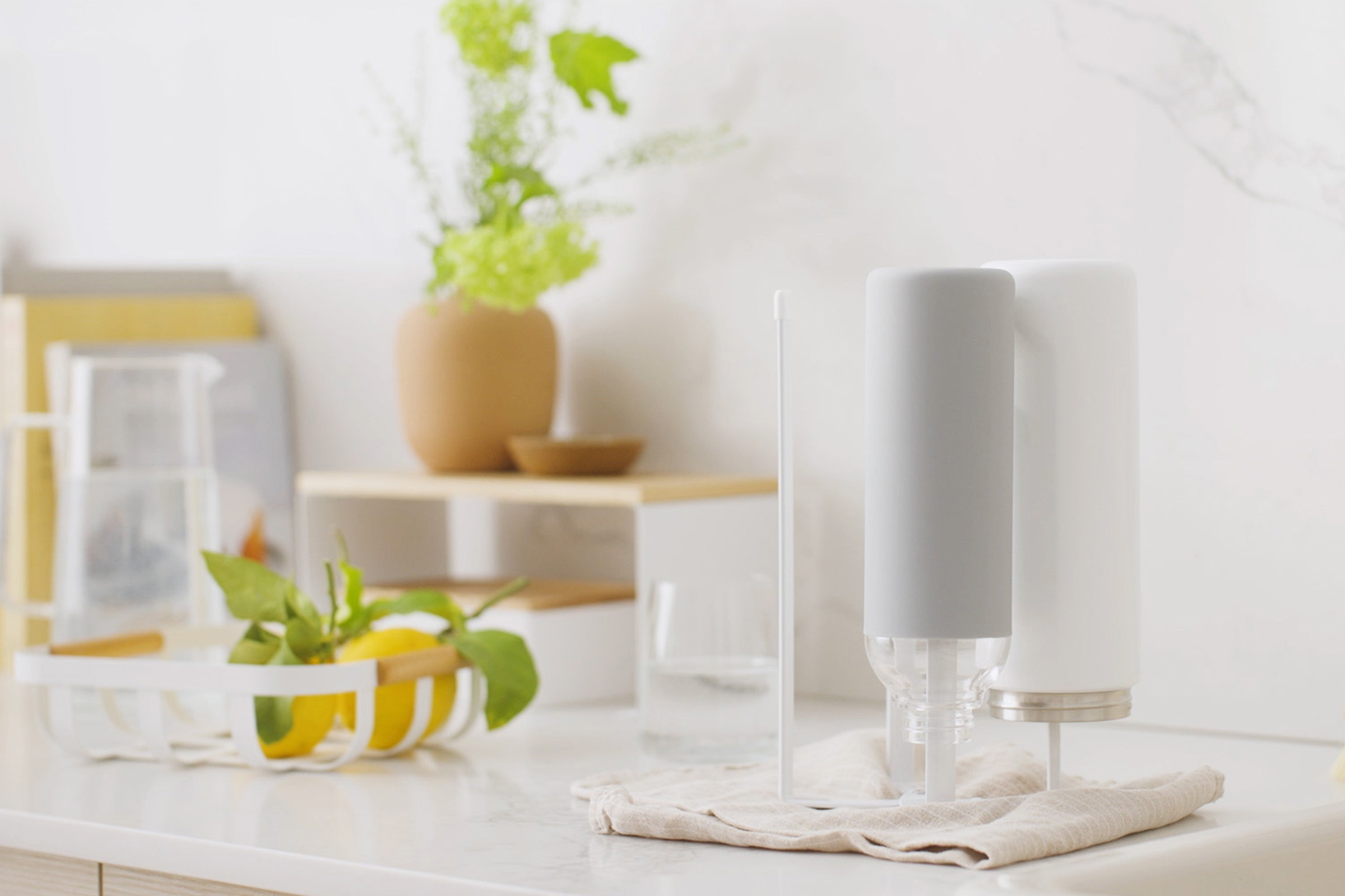 Fruit Basket and Collapsible Bottle Dryer by Yamazaki Home in white on a kitchen countertop, the former containing lemons and the latter supporting some water flasks.