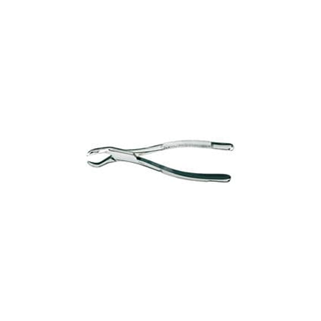 Extracting Forceps #88L