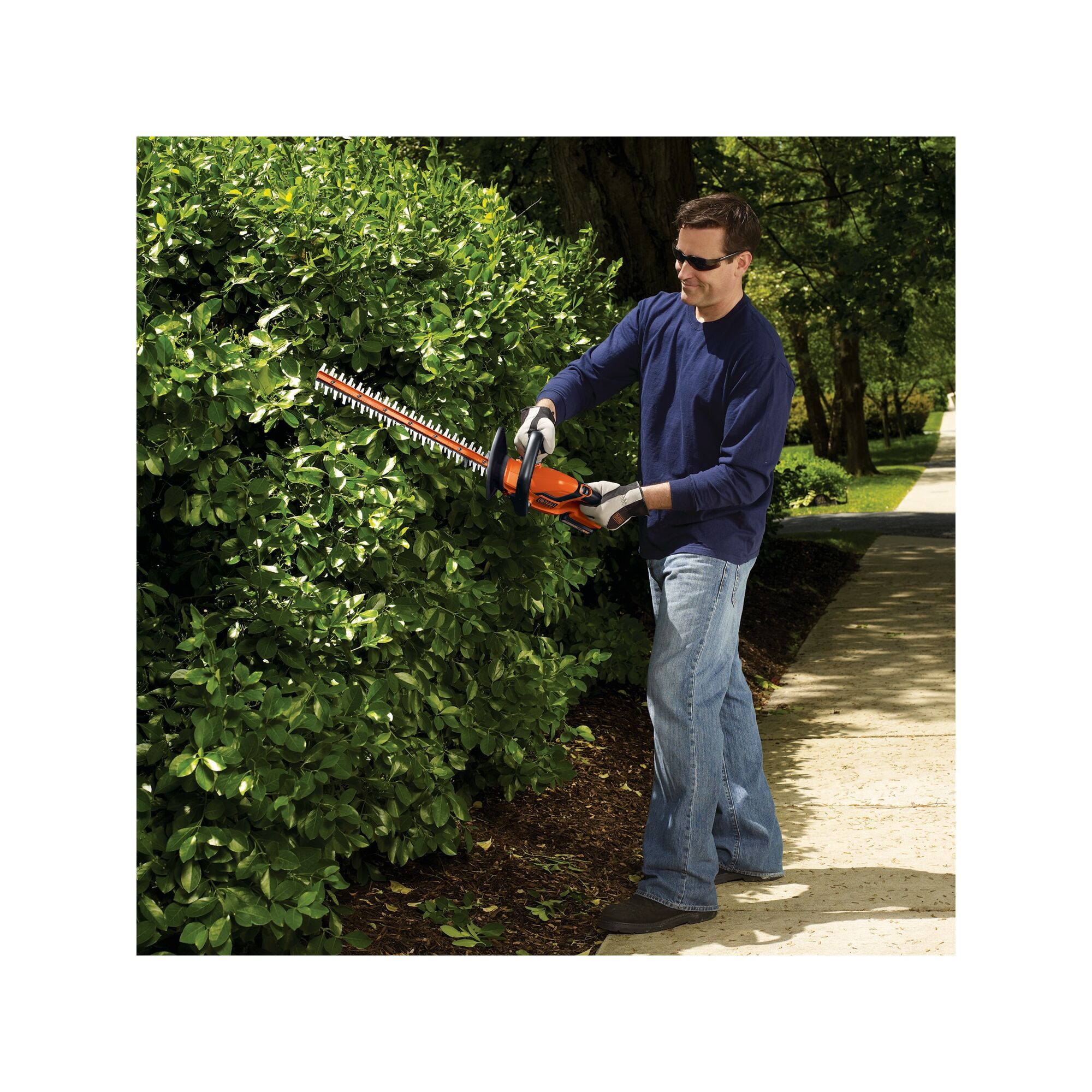 Man using the BLACK+DECKER hedge trimmer on a bush