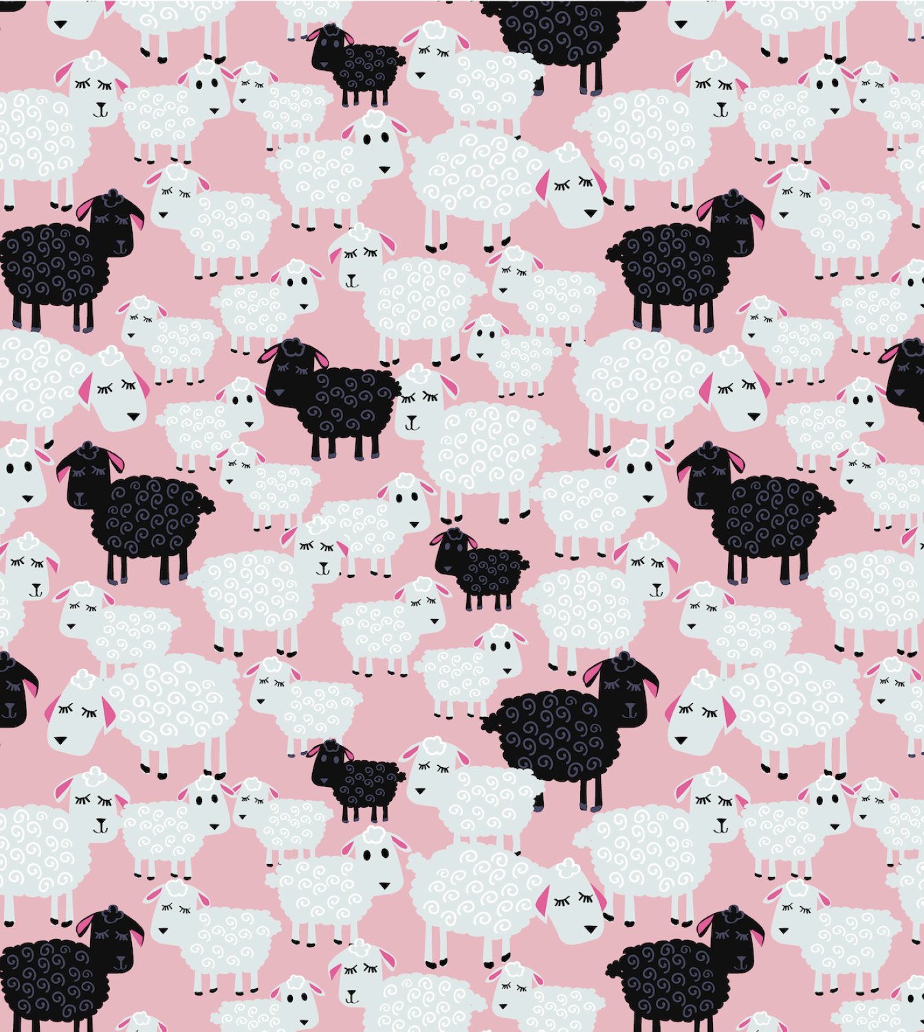 BAA BAA BLACK SHEEP(BBBS)