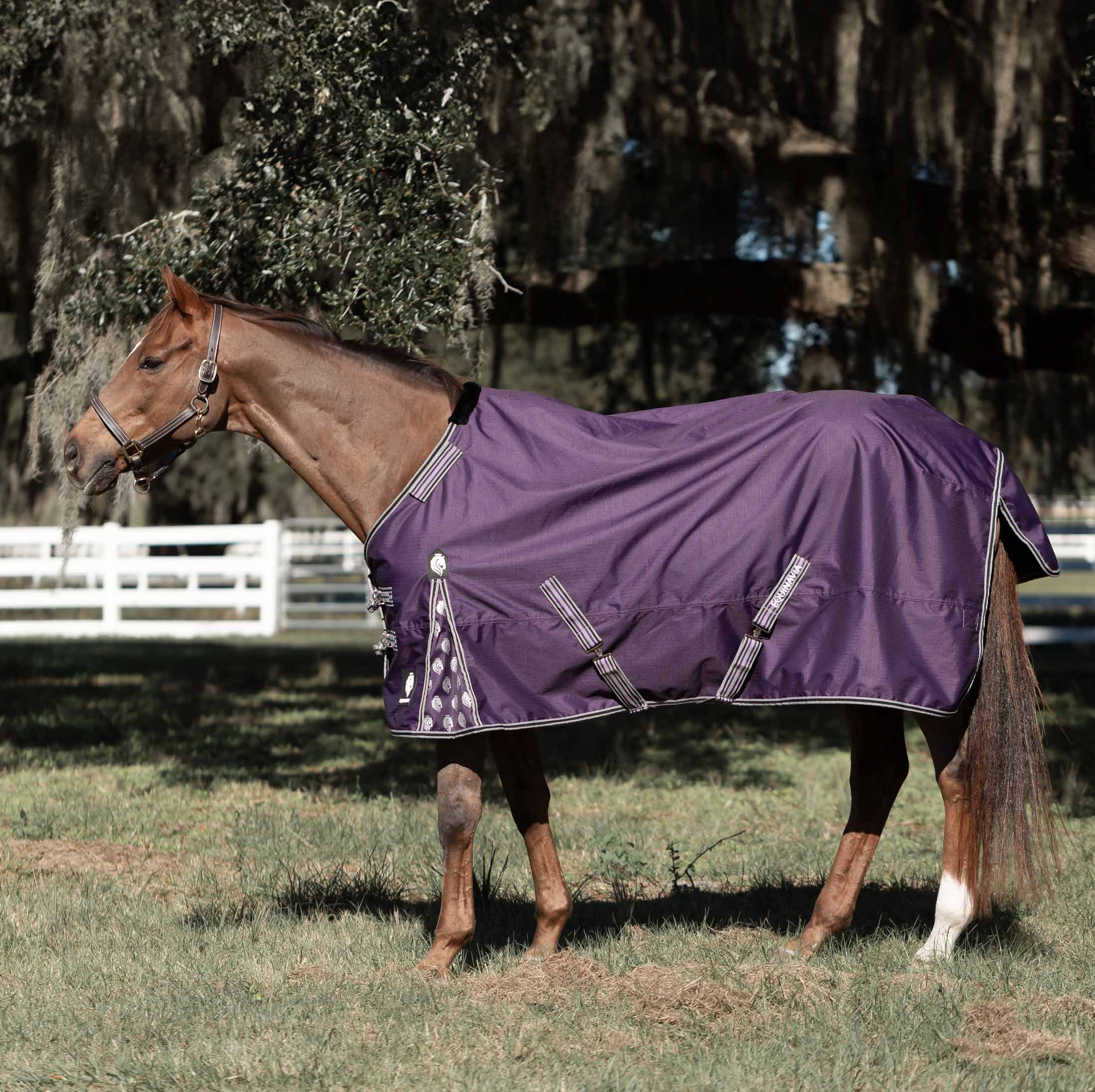 Equinavia Norse Light Weight Turnout Blanket 100g