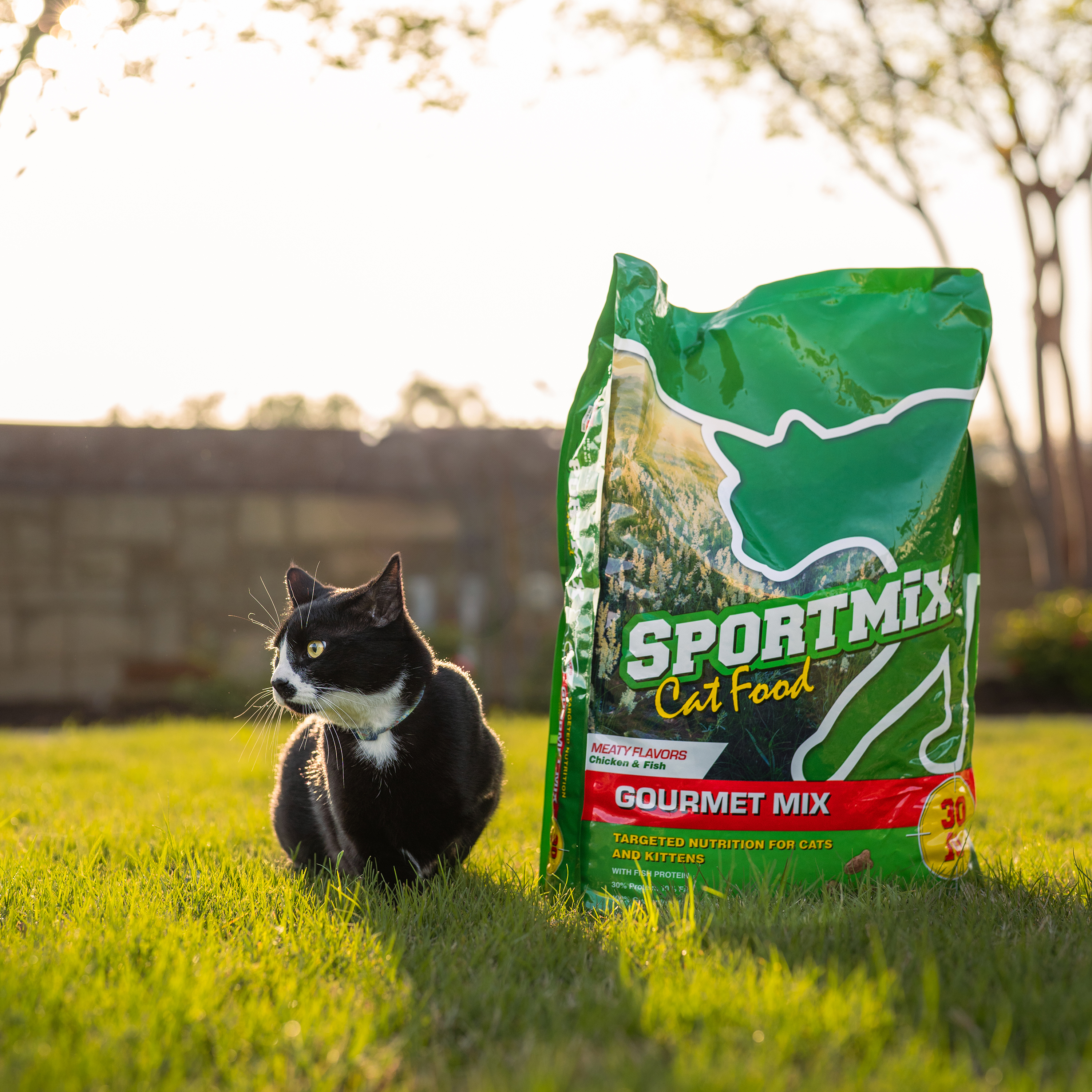 Photo of Product Bag