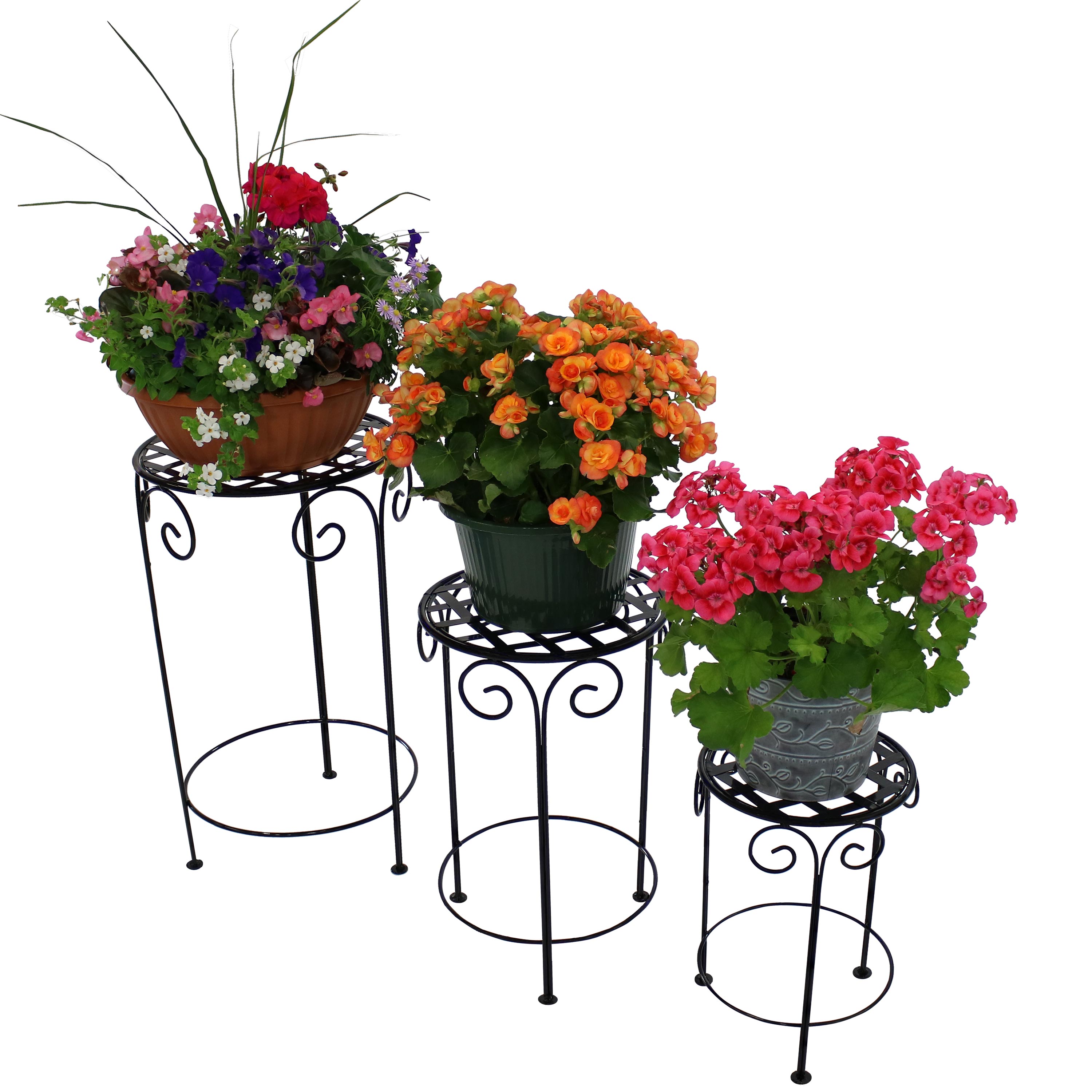 Sunnydaze 3-Piece Metal Iron Plant Stand Set with Scroll Design - Black Finish