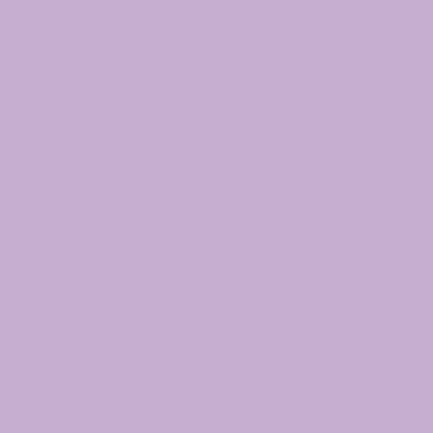 ORCHID BLOOM(ORBL)