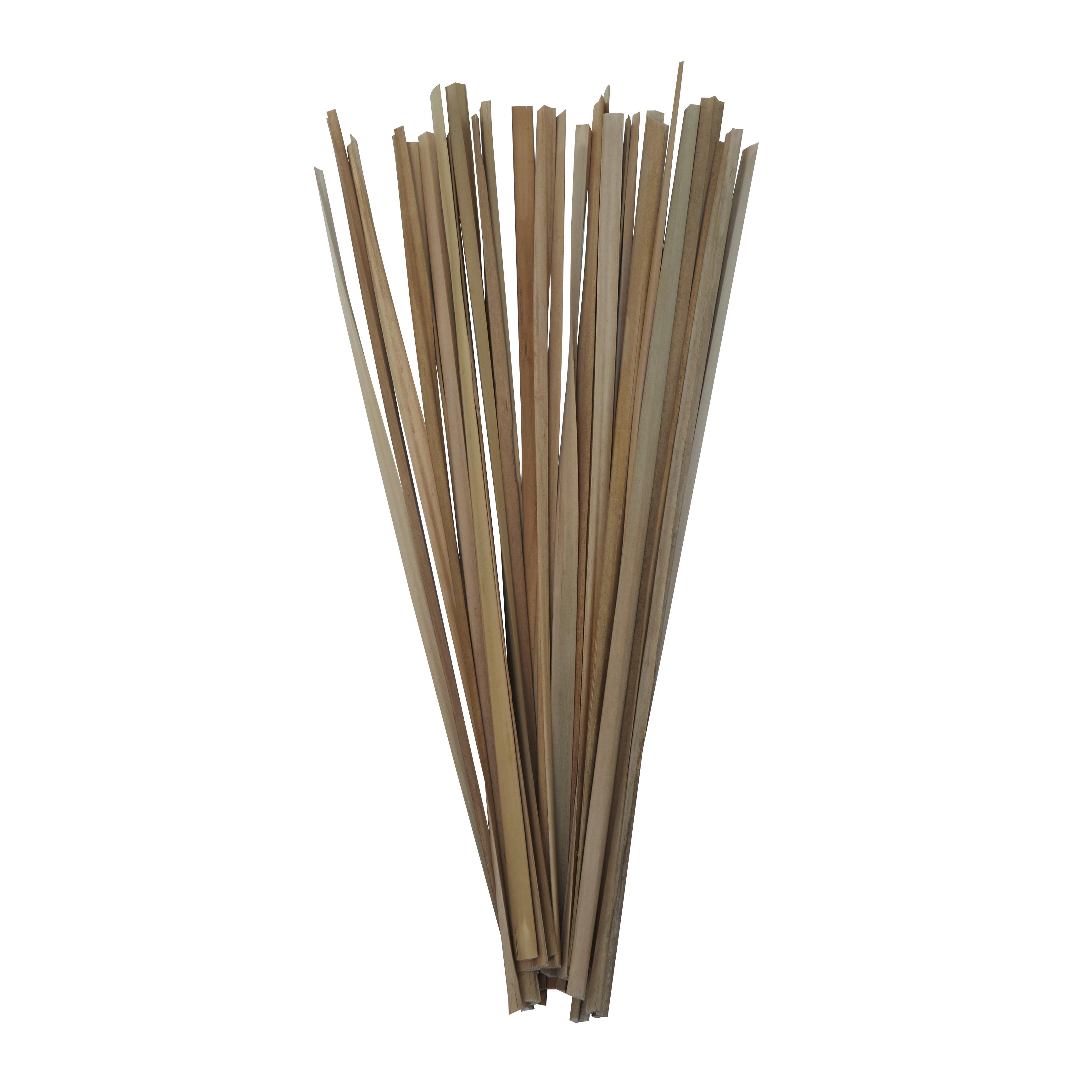Light Brown Dried Plant  Tall Sticks Home Decor Natural Foliage with Slender Stems, 3" x 3" x 40"