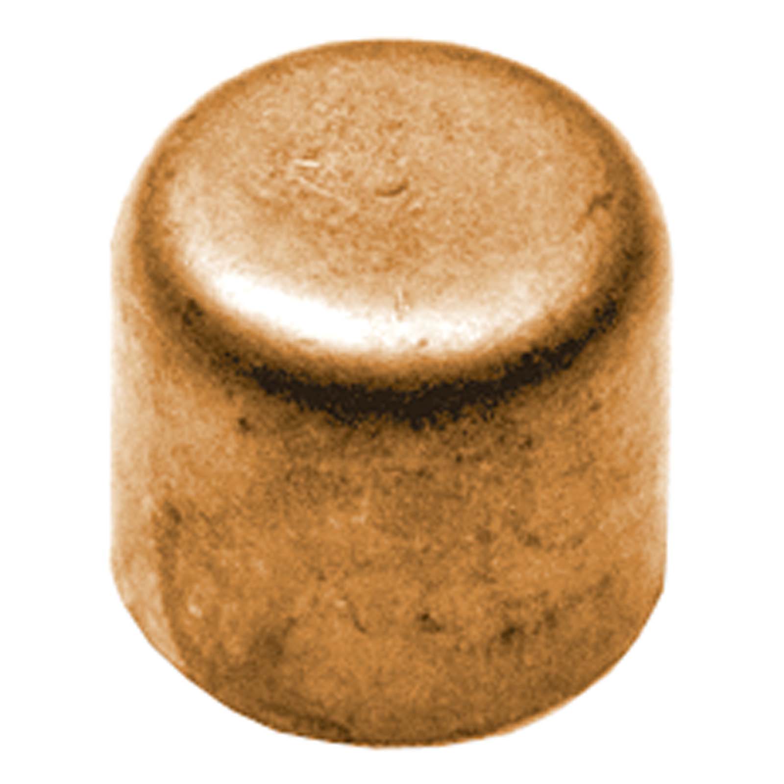 Wolverine Brass® 55417X 3/4 COPPER PROSERIES CAP