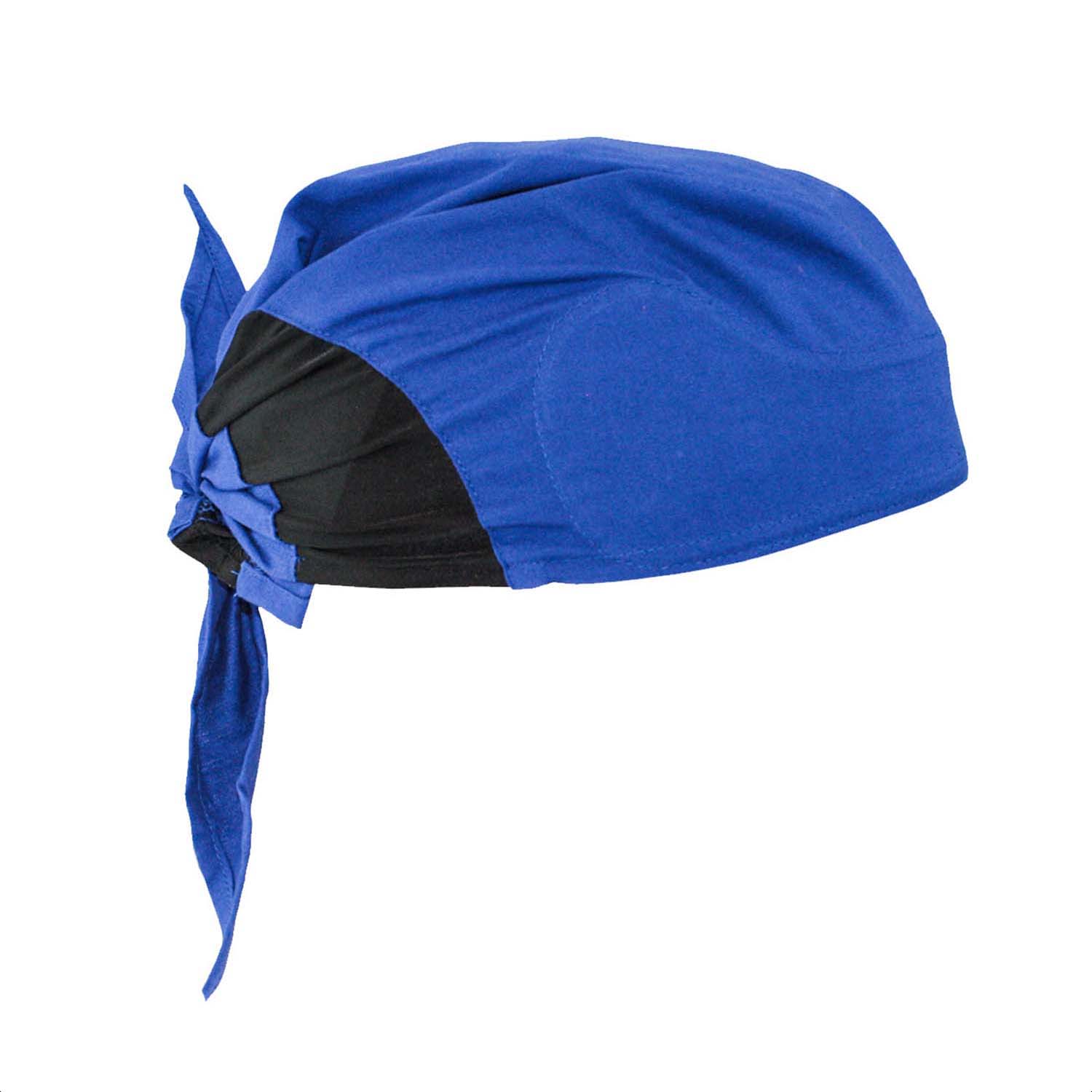 Arctic Radwear® Head Shade - Blue