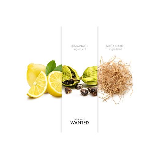 wanted edt 30 ml