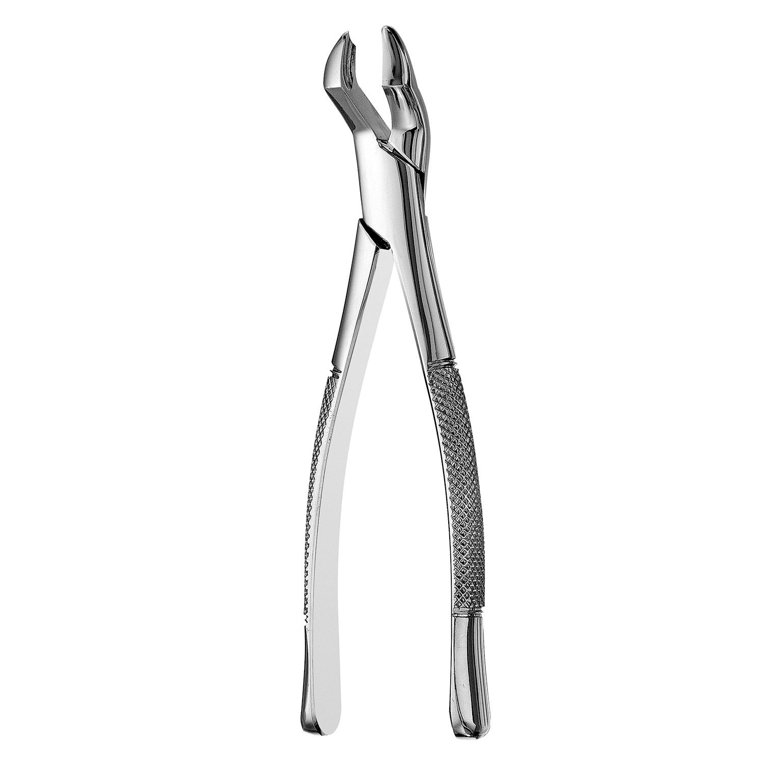 Forcep Upper Molar #53L 7" 18cm