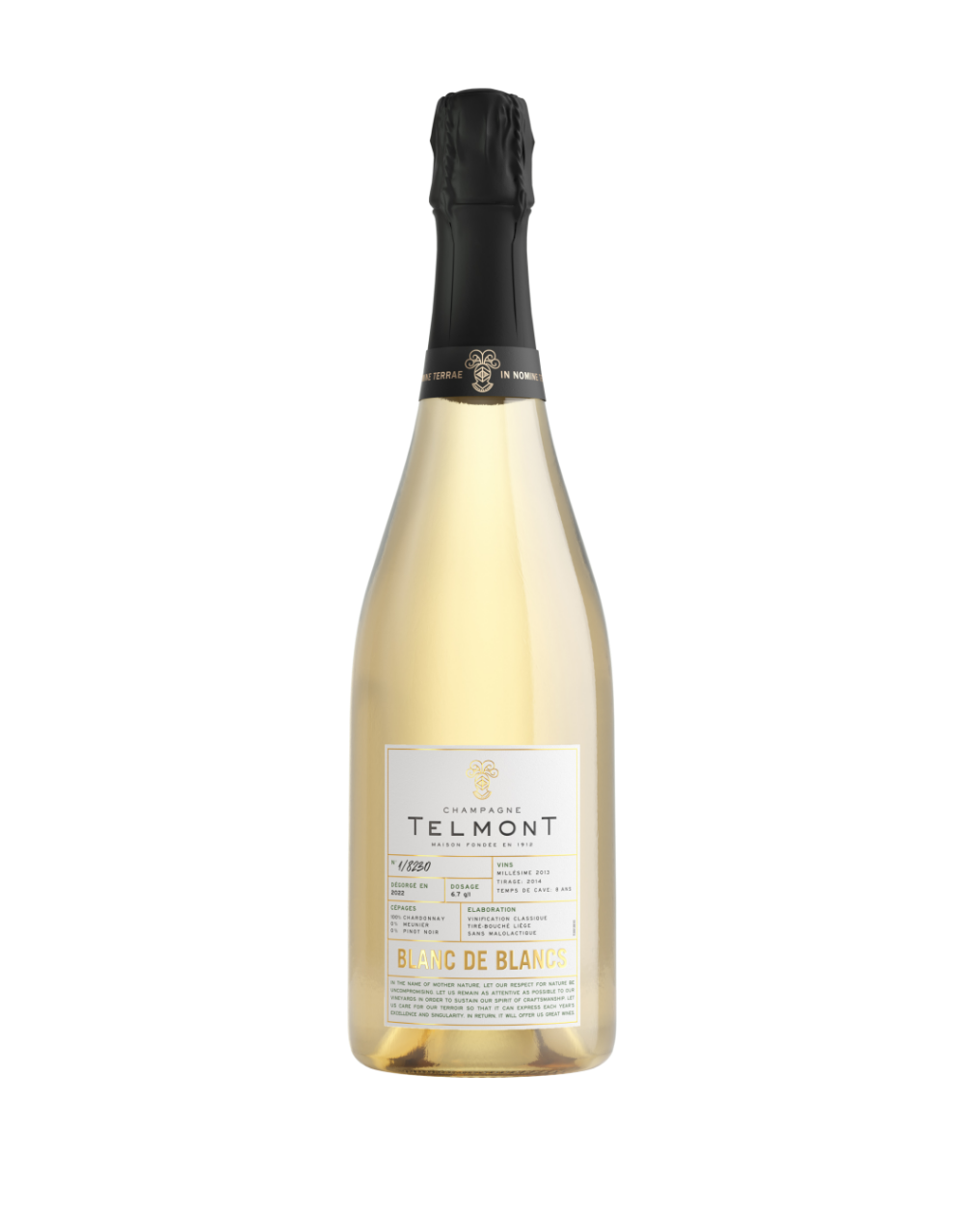 TELMONT BLANC DE BLANCS 2013