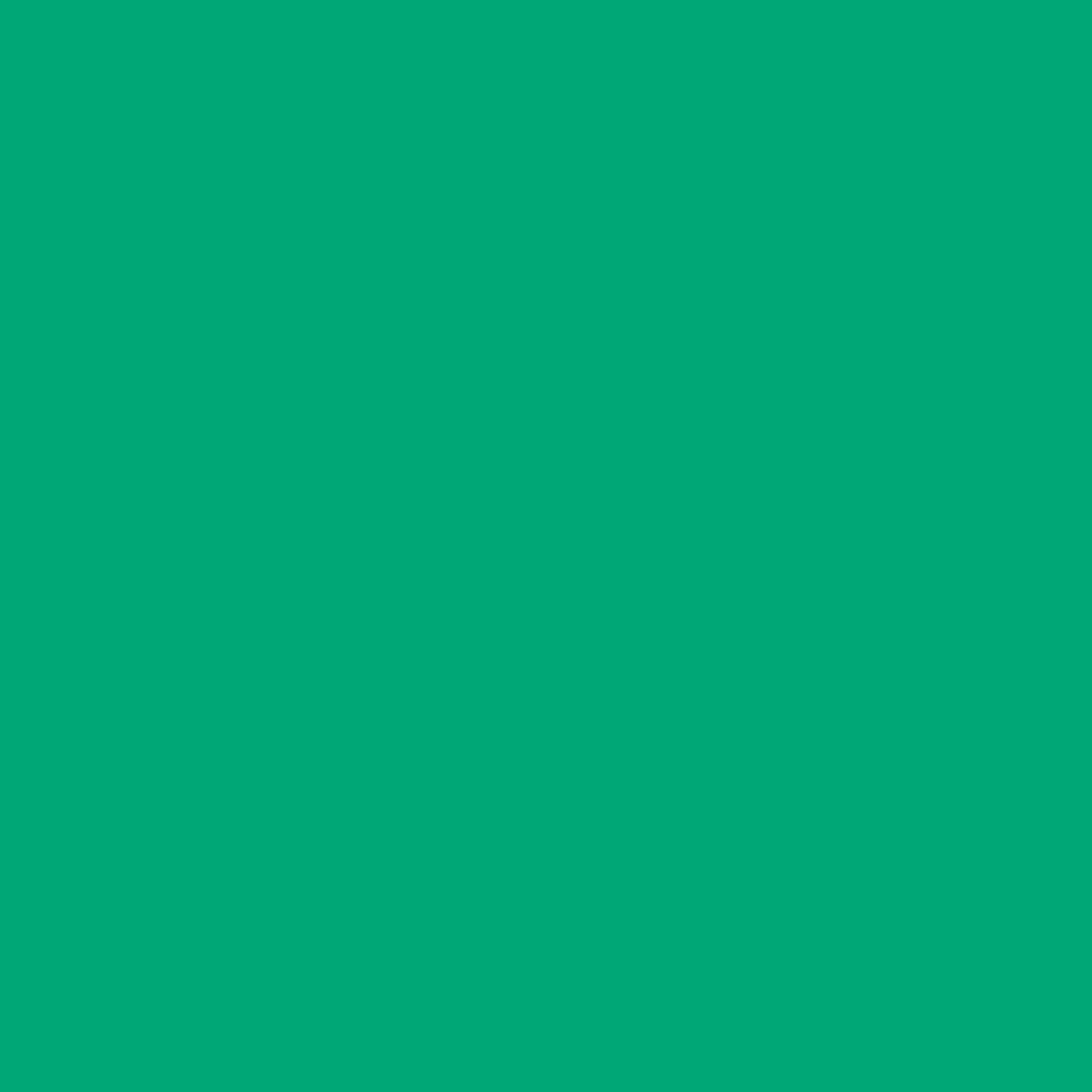 COOL MINT(COMT)
