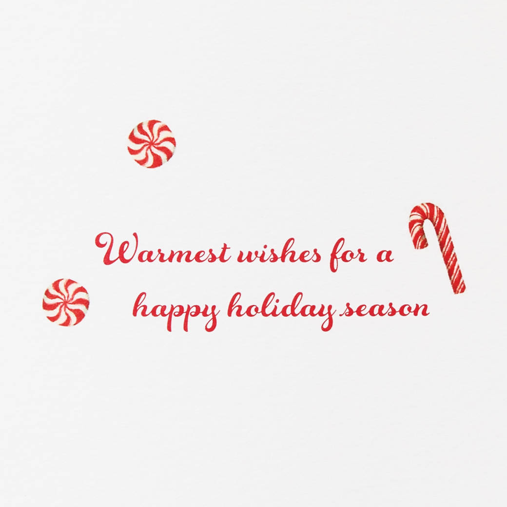 Warmest Wishes  Christmas Boxed Cards with Envelopes - Designed by Bella Pilar, 20-Count