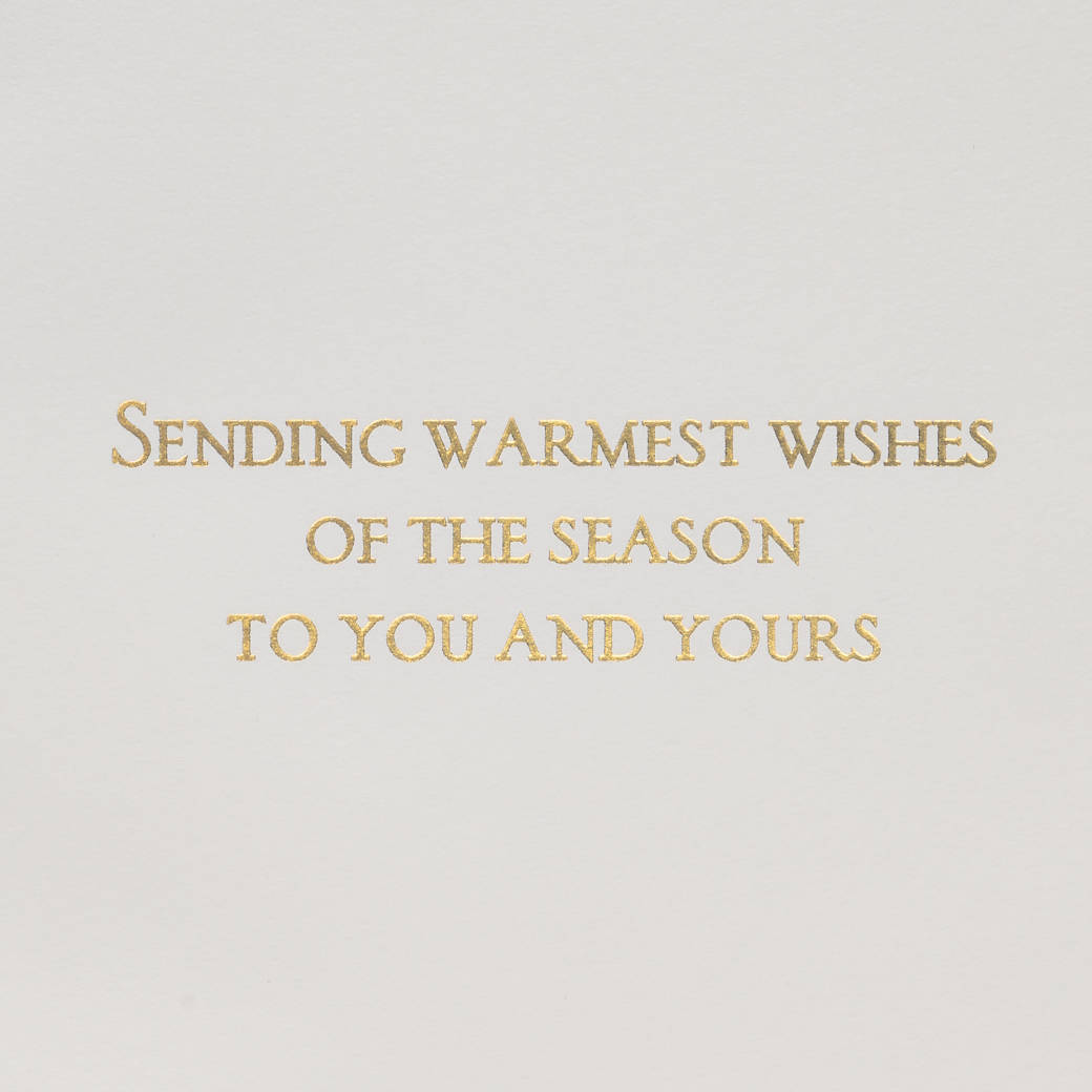 Warmest Wishes Christmas Greeting Card