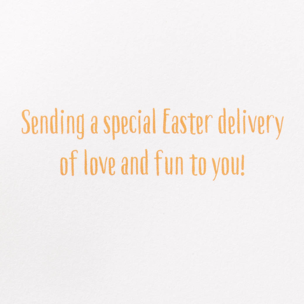 Special Easter Delivery Easter Greeting Card with Bunny Finger Puppet Image 3