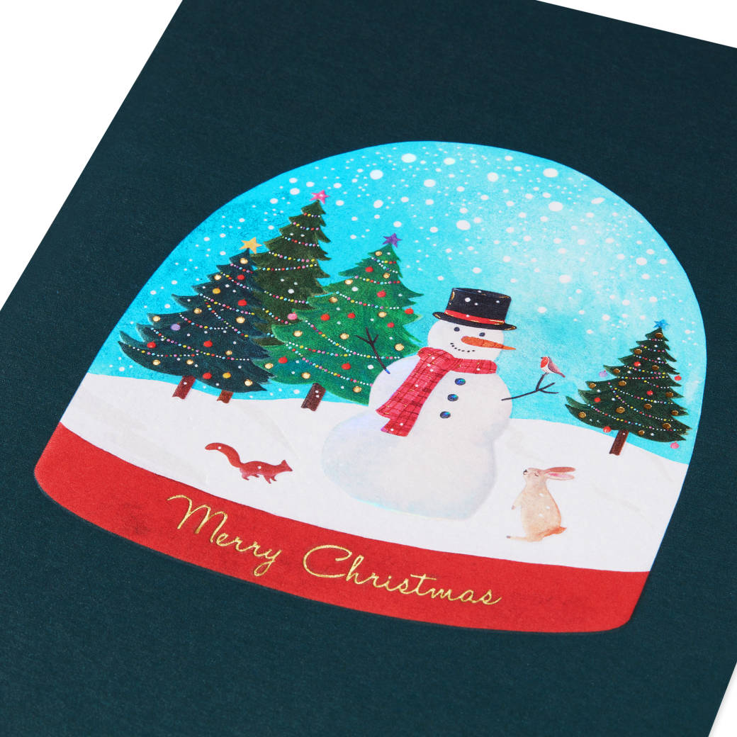  Joy and Wonder Christmas Boxed Cards with Envelopes, 12-Count