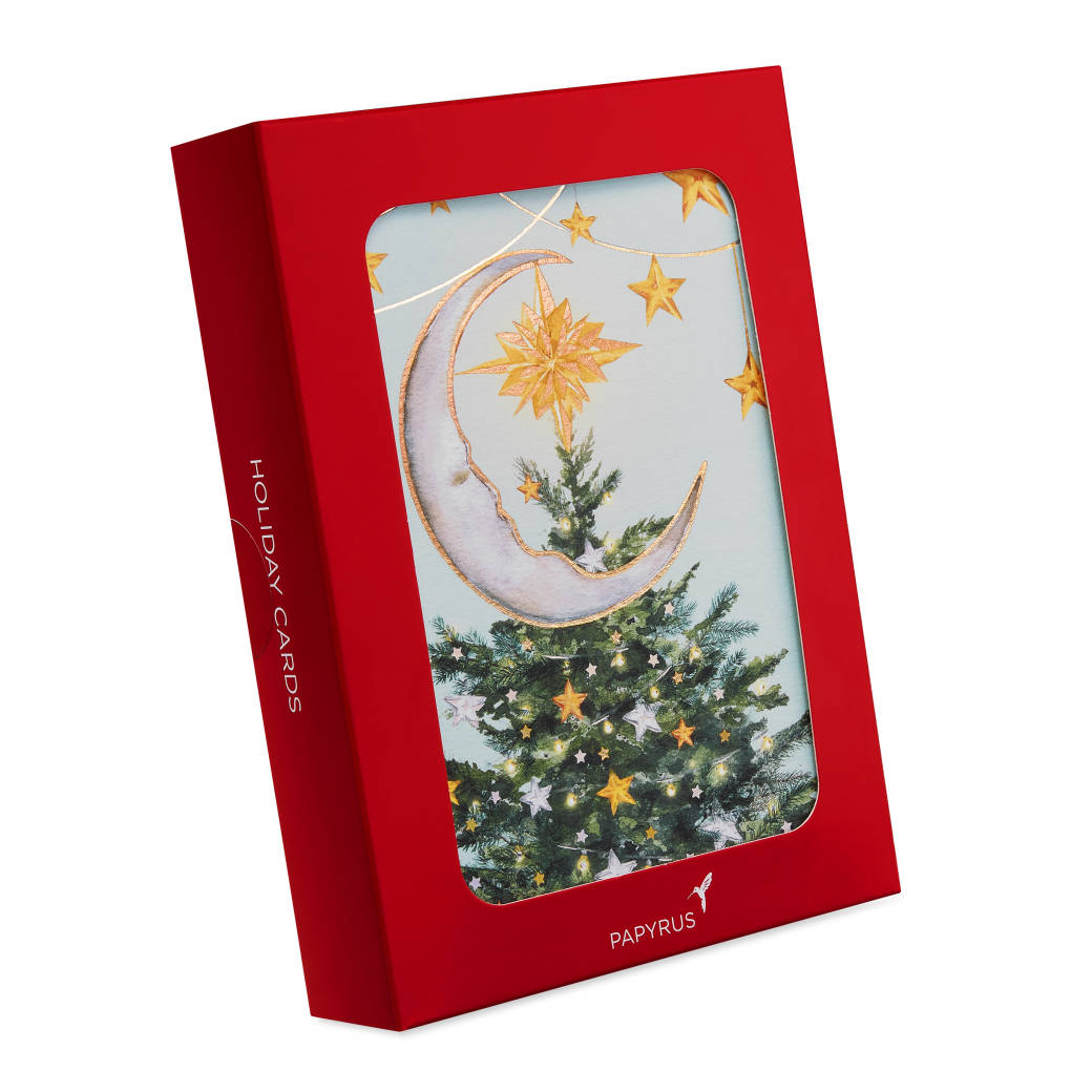 Magic Of The Season Christmas Boxed Cards with Envelopes, 14-Count