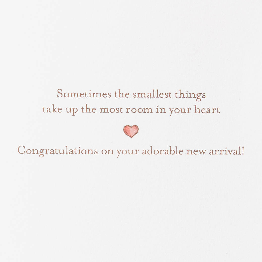 The Smallest Things Baby Shower Greeting Card