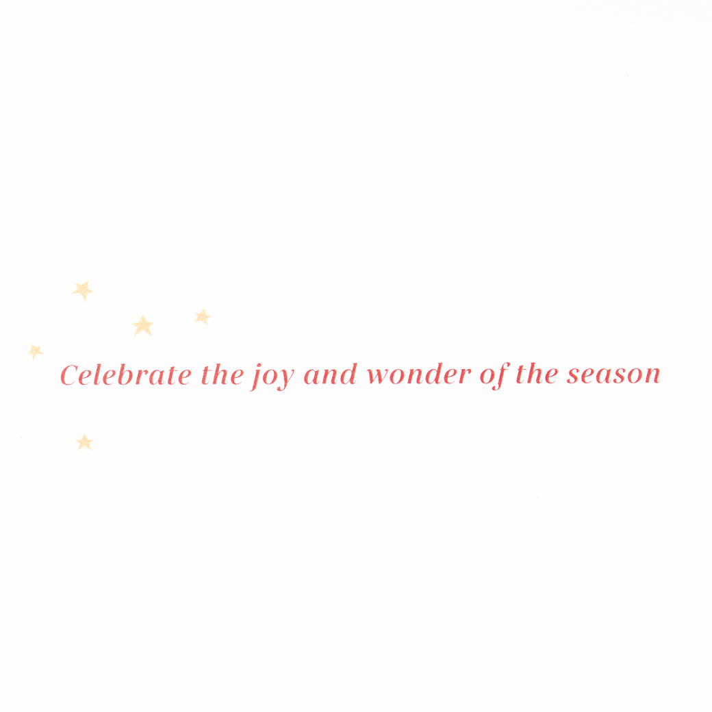  Joy and Wonder Christmas Boxed Cards with Envelopes, 12-Count