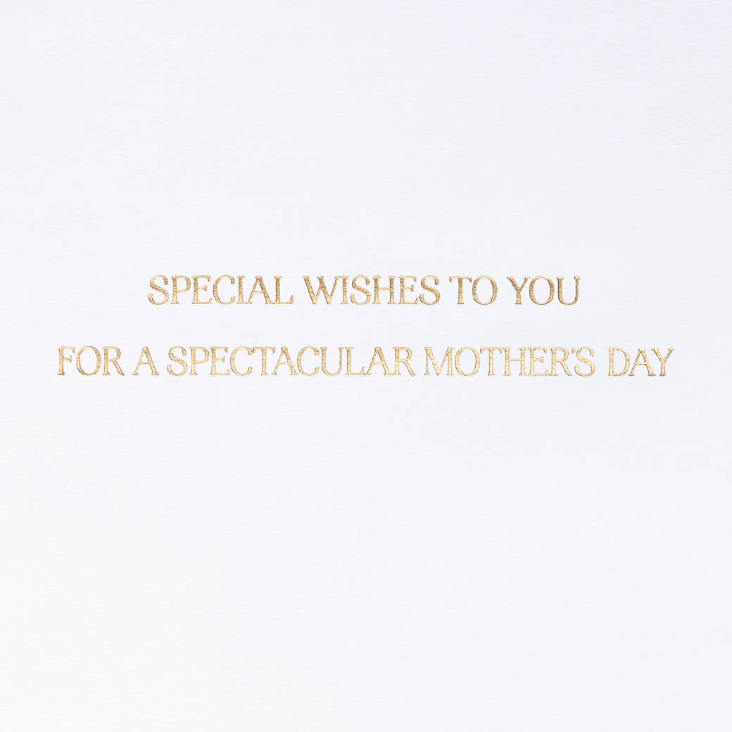 A Spectacular Day Mothers Day Greeting Card Image 3