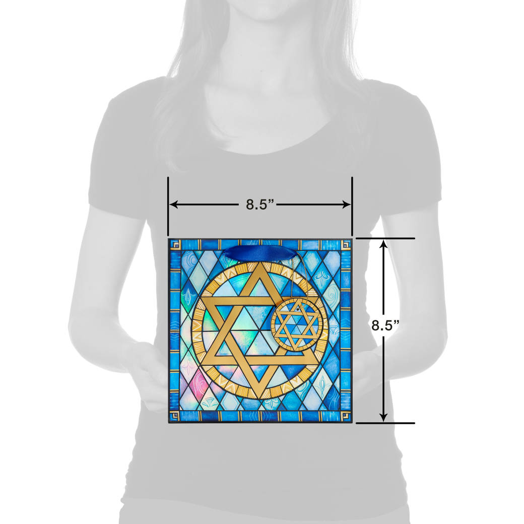 Stained Glass Star of David 8